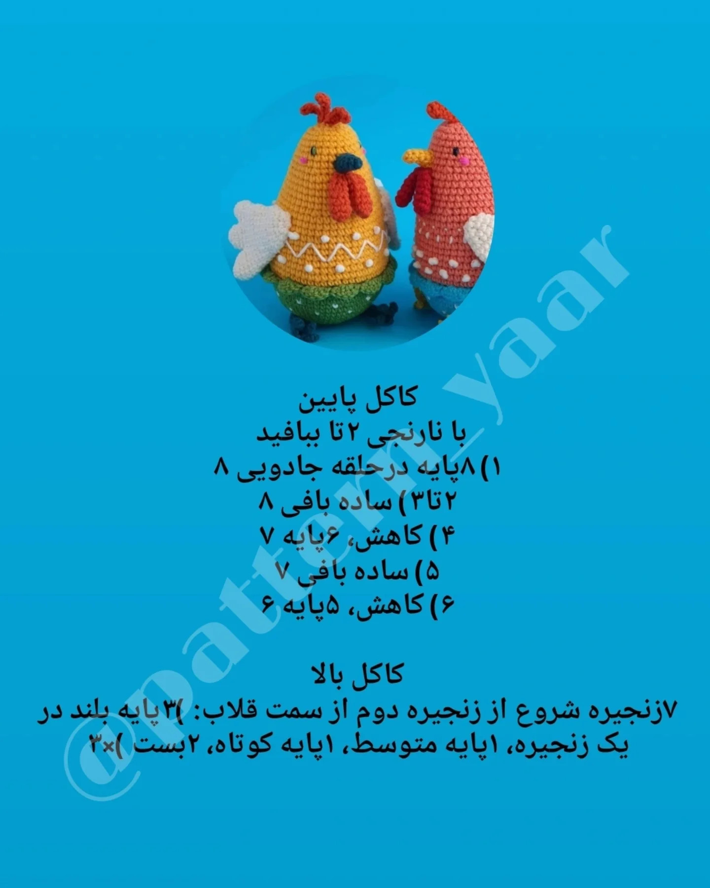 دستور بافت مرغ‌های رنگی