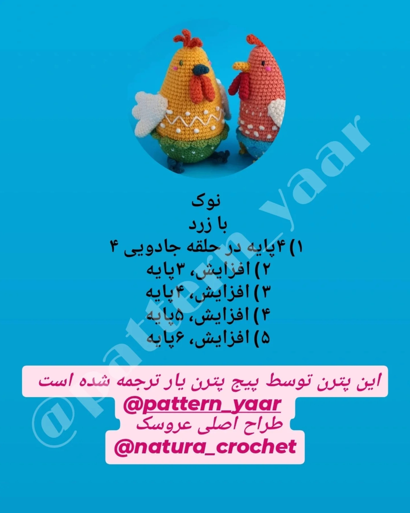 دستور بافت مرغ‌های رنگی