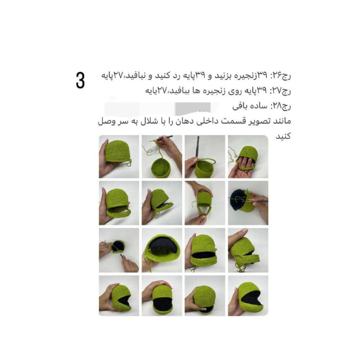 دستور بافت پادری قورباغه