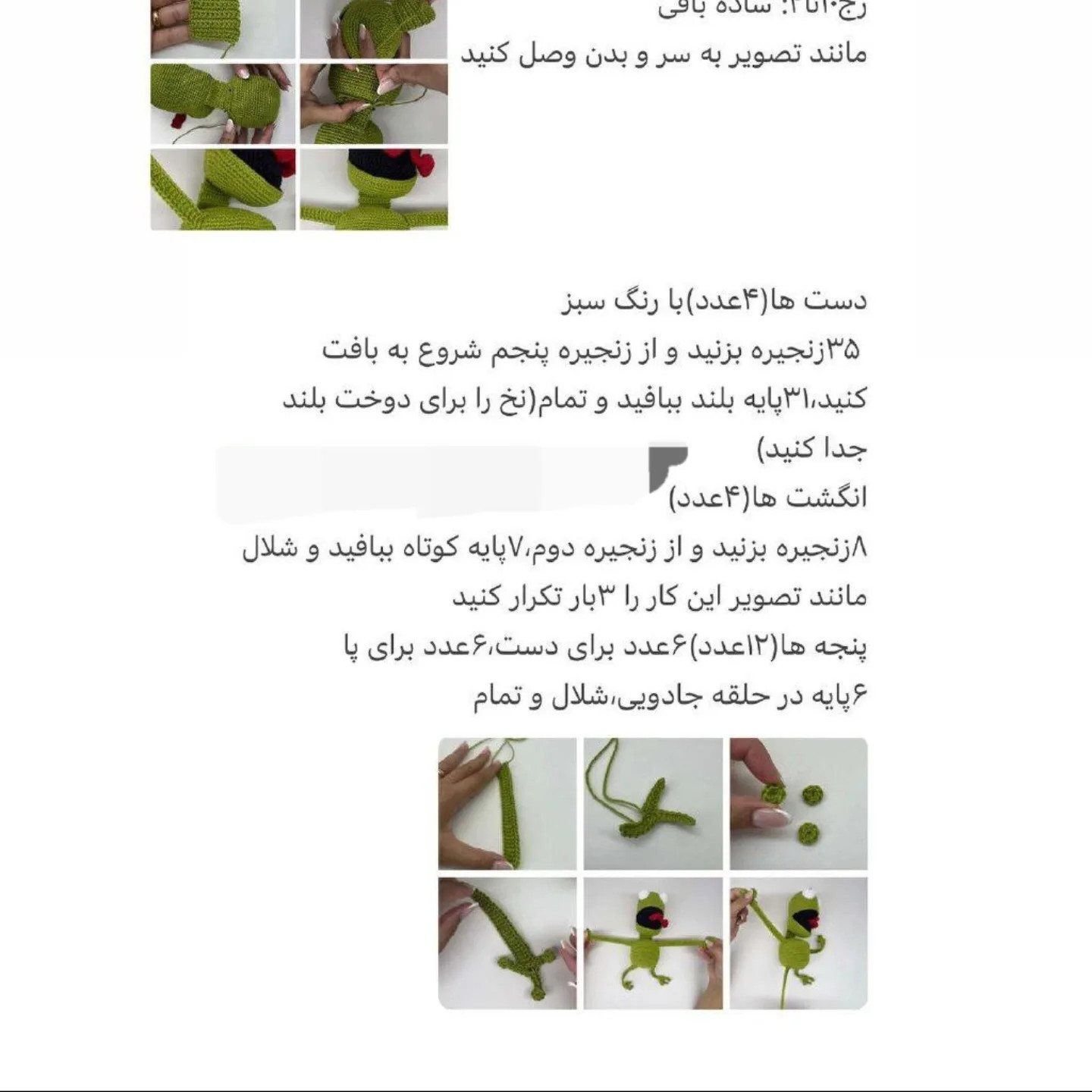 دستور بافت پادری قورباغه