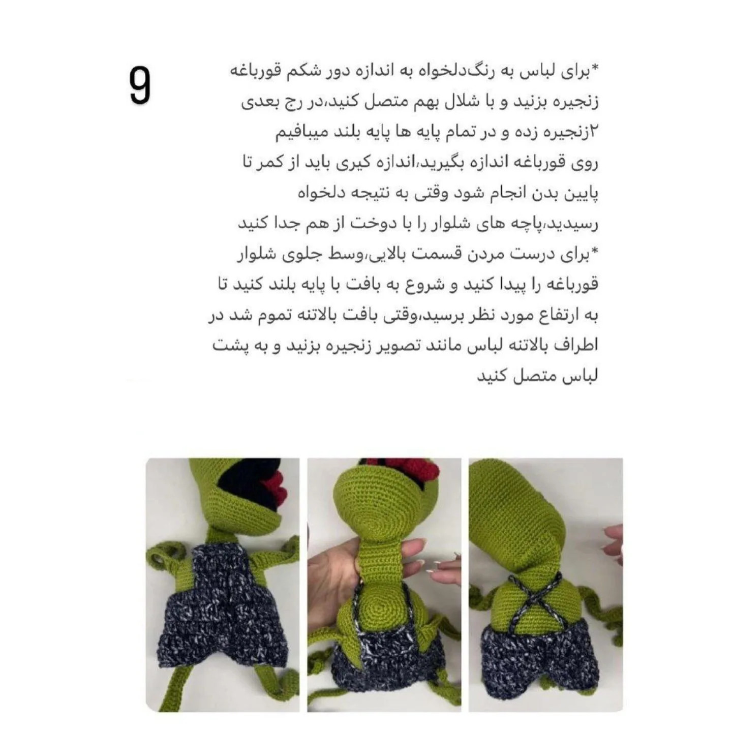 دستور بافت پادری قورباغه