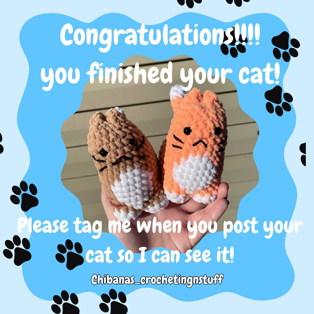 Free Crochet Pattern: Adorable Amigurumi Cat excited