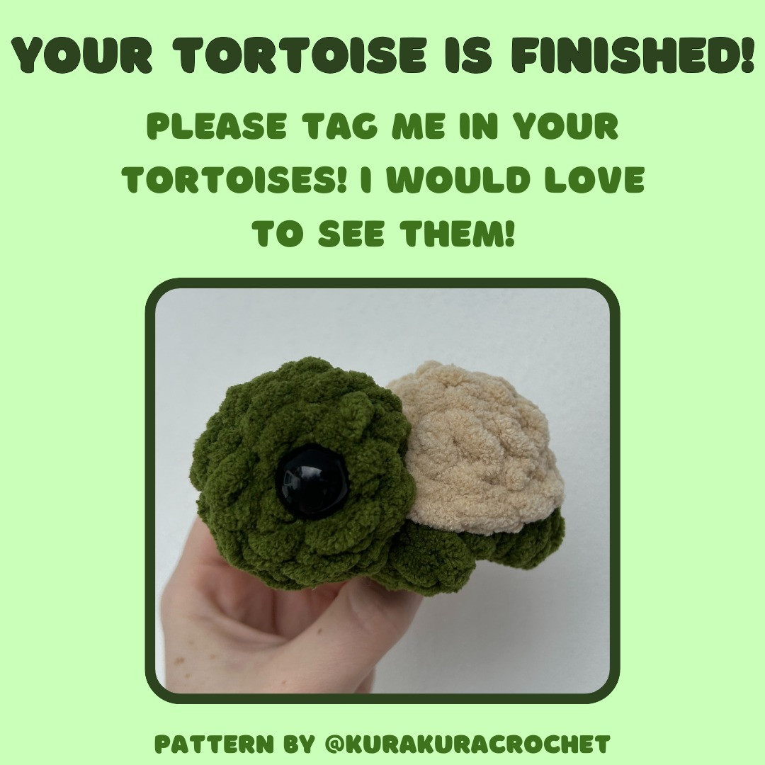 Free Crochet Pattern: Adorable Mini Tortoises