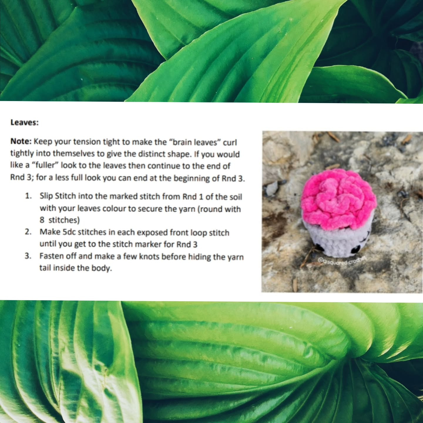 Free Crochet Pattern: No-Sew Braydon Brain Plant