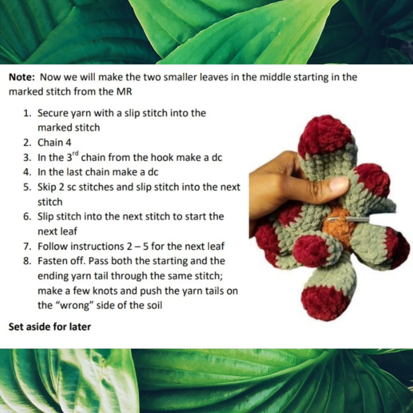 Free Crochet Pattern: No-Sew Piper Paddle Plant