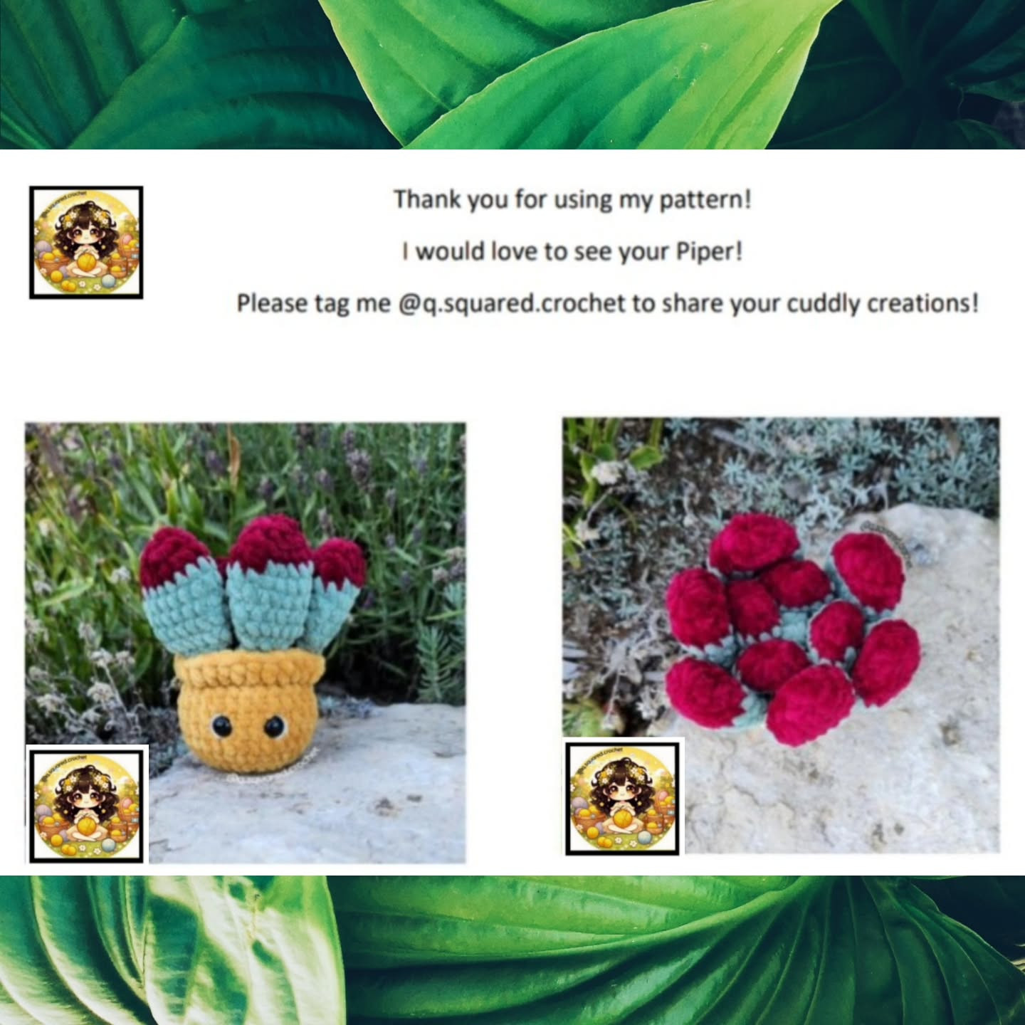Free Crochet Pattern: No-Sew Piper Paddle Plant