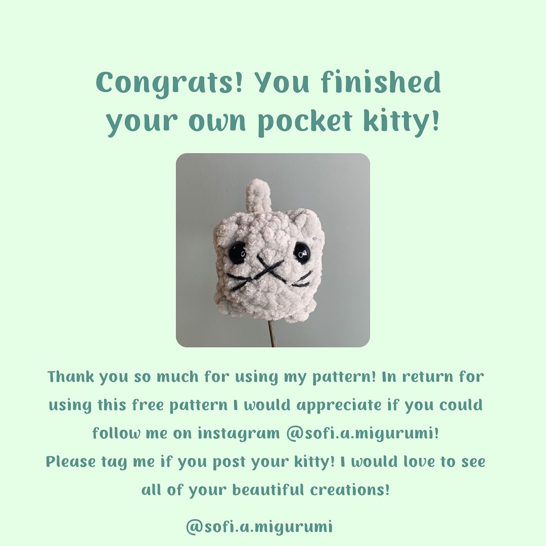 Free Crochet Pattern: No-Sew Pocket Kitty Amigurumi