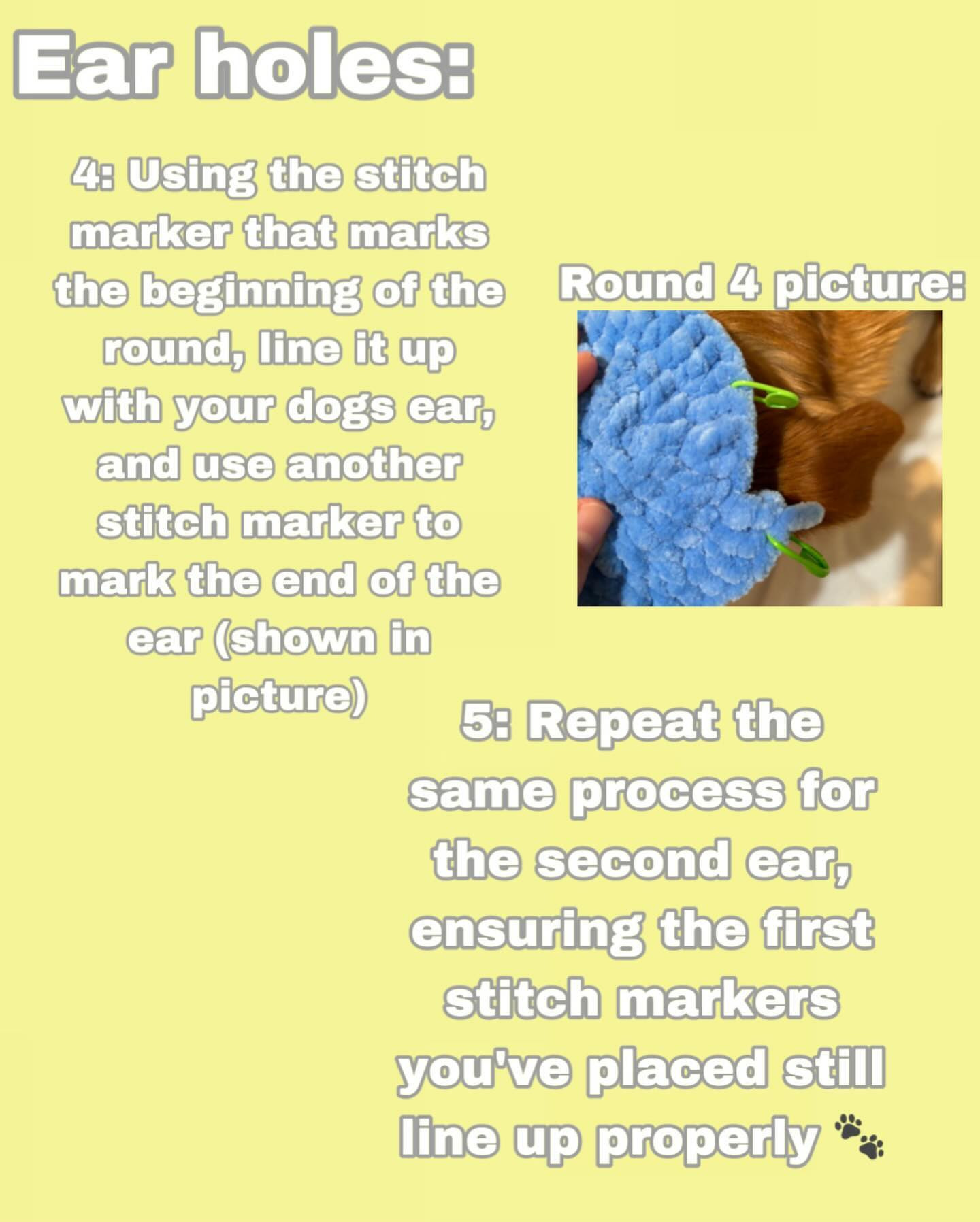 Free Crochet Pet Hat Pattern: Lemon & Blueberry