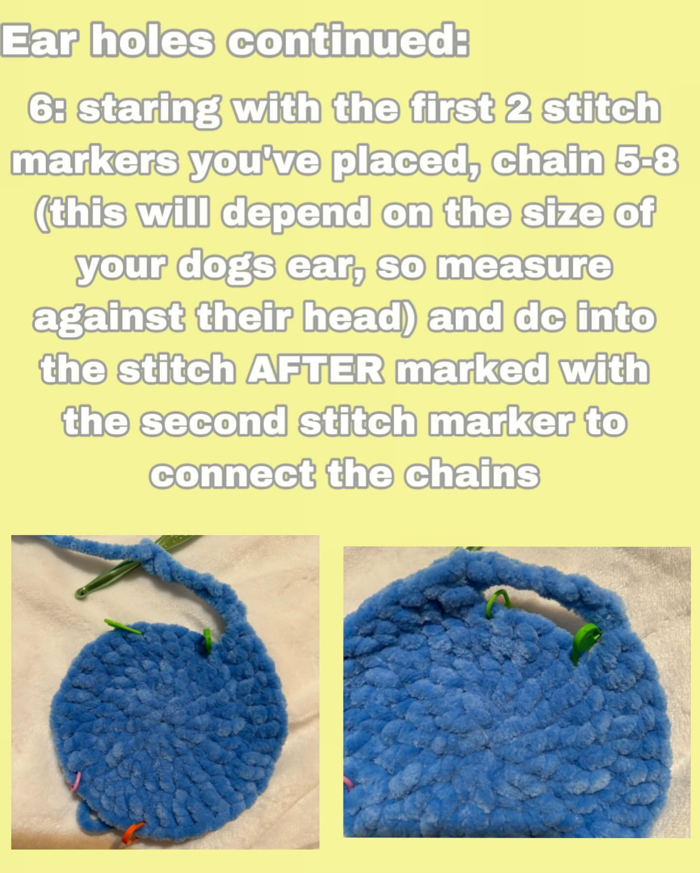 Free Crochet Pet Hat Pattern: Lemon & Blueberry