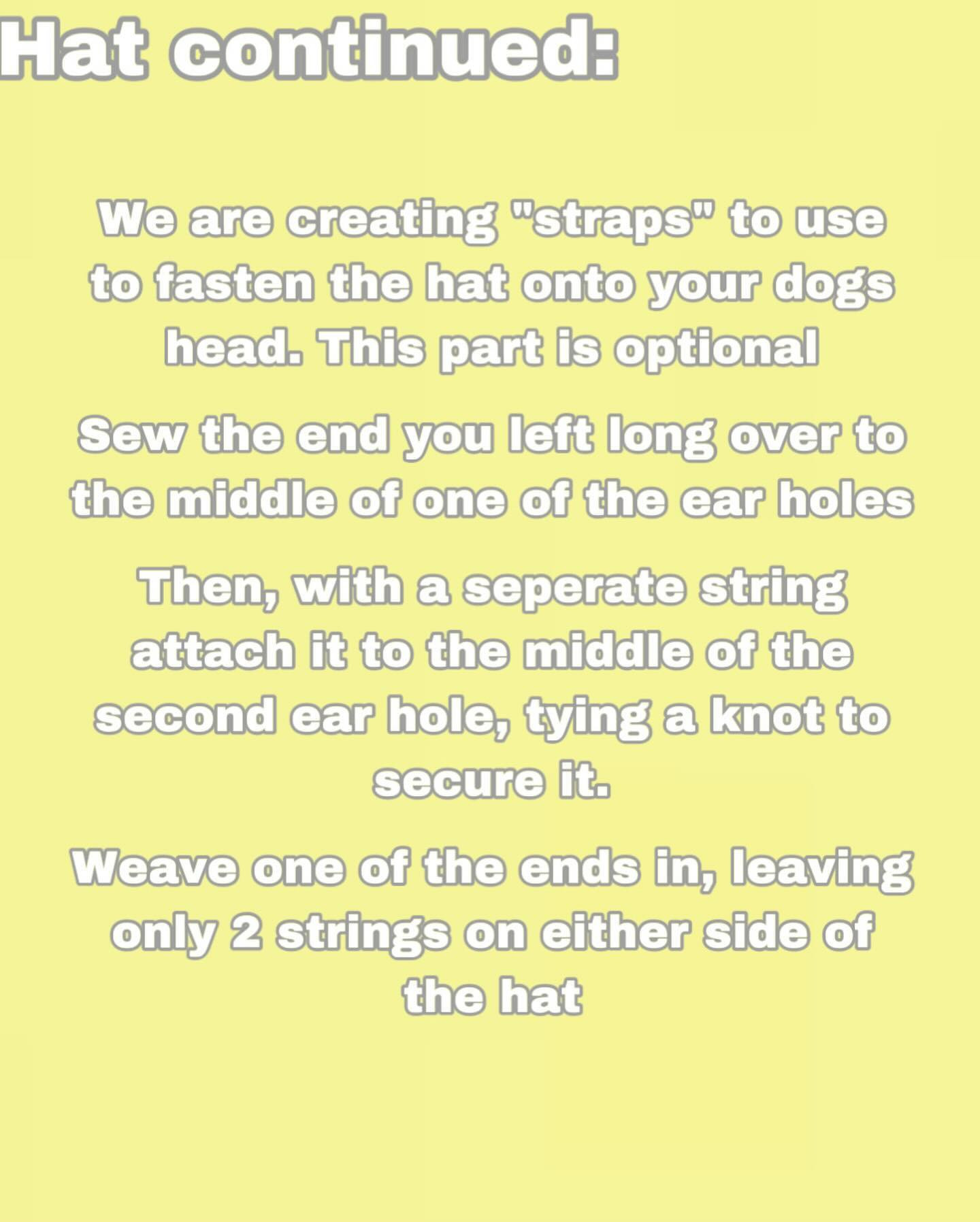 Free Crochet Pet Hat Pattern: Lemon & Blueberry