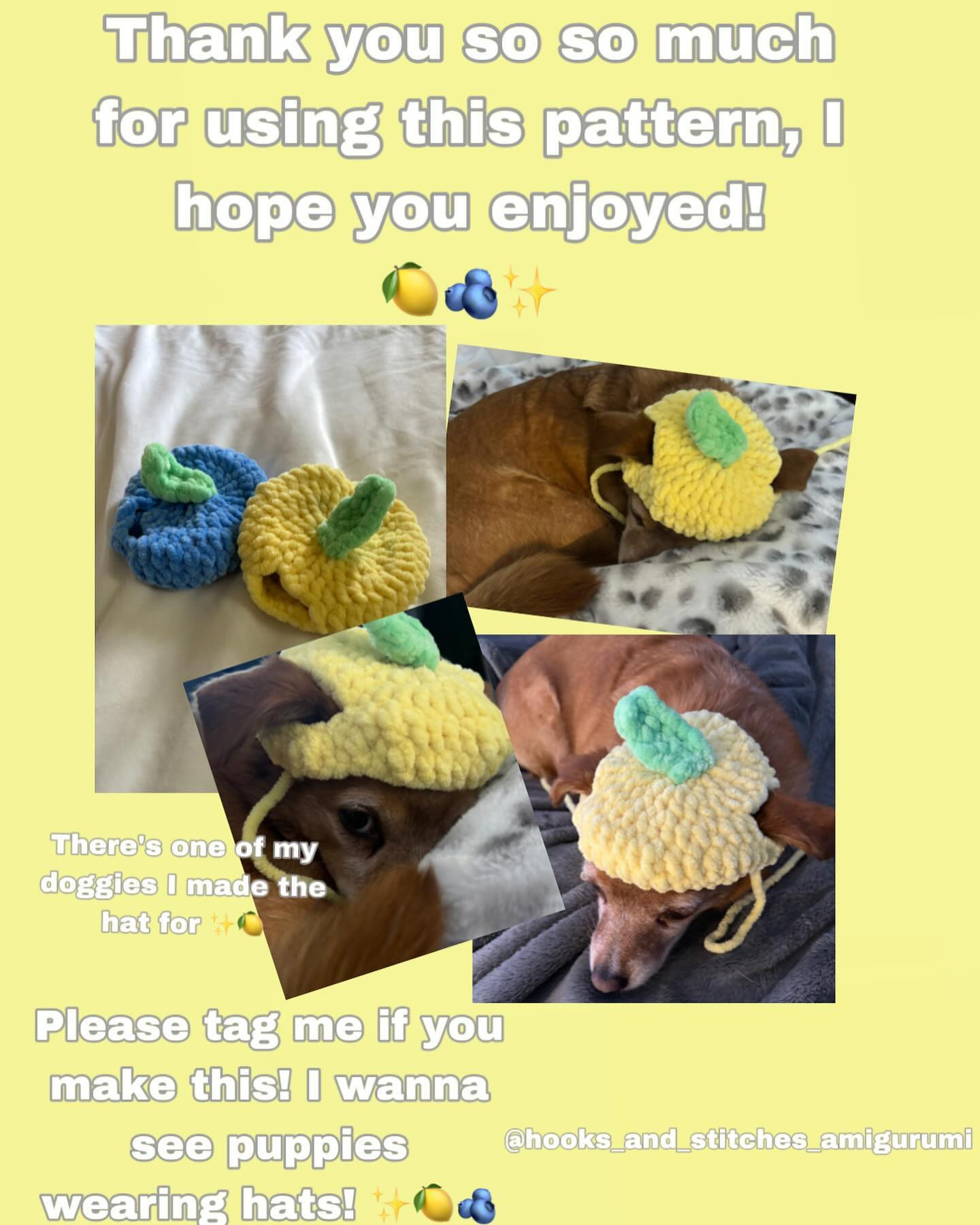 Free Crochet Pet Hat Pattern: Lemon & Blueberry