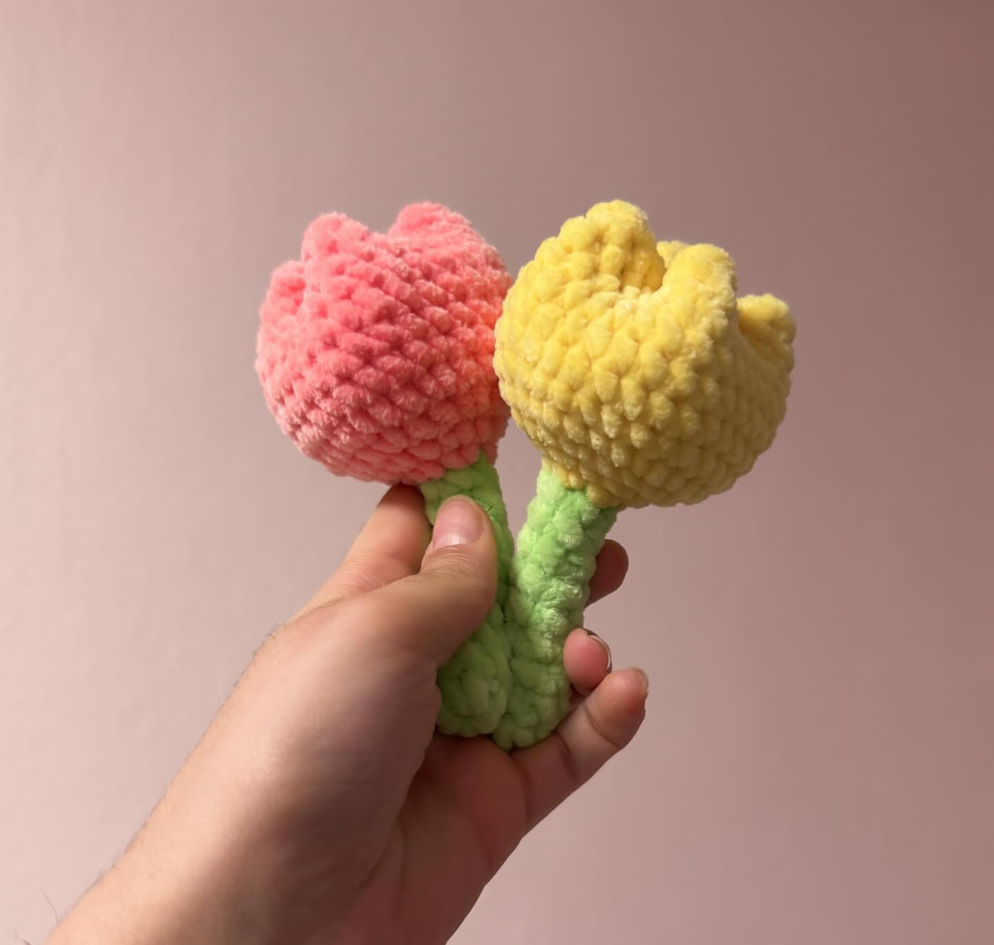 Free Crochet Tulip Pattern: Two Cute Flowers