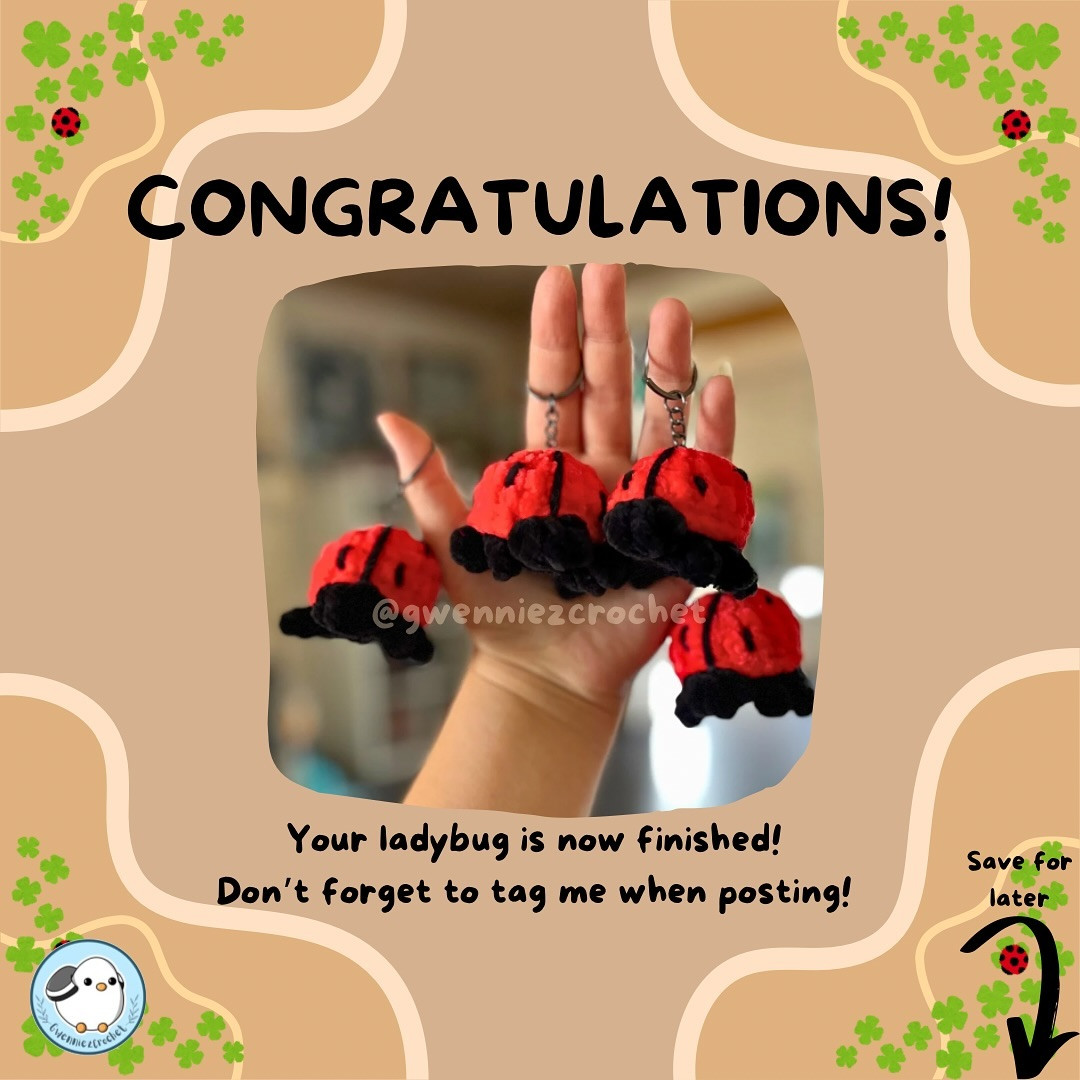 Free No-Sew Ladybug Crochet Pattern