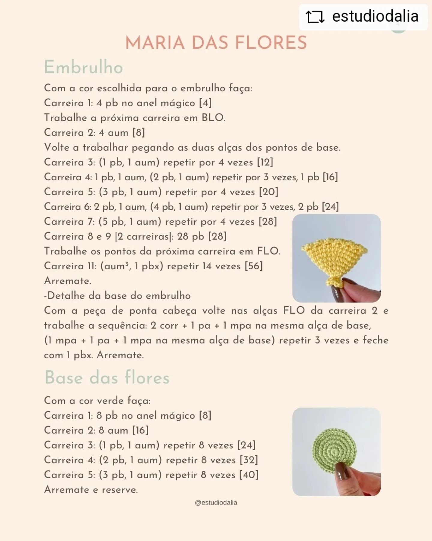 Gráfico de crochê: Bouquet de flores charmoso