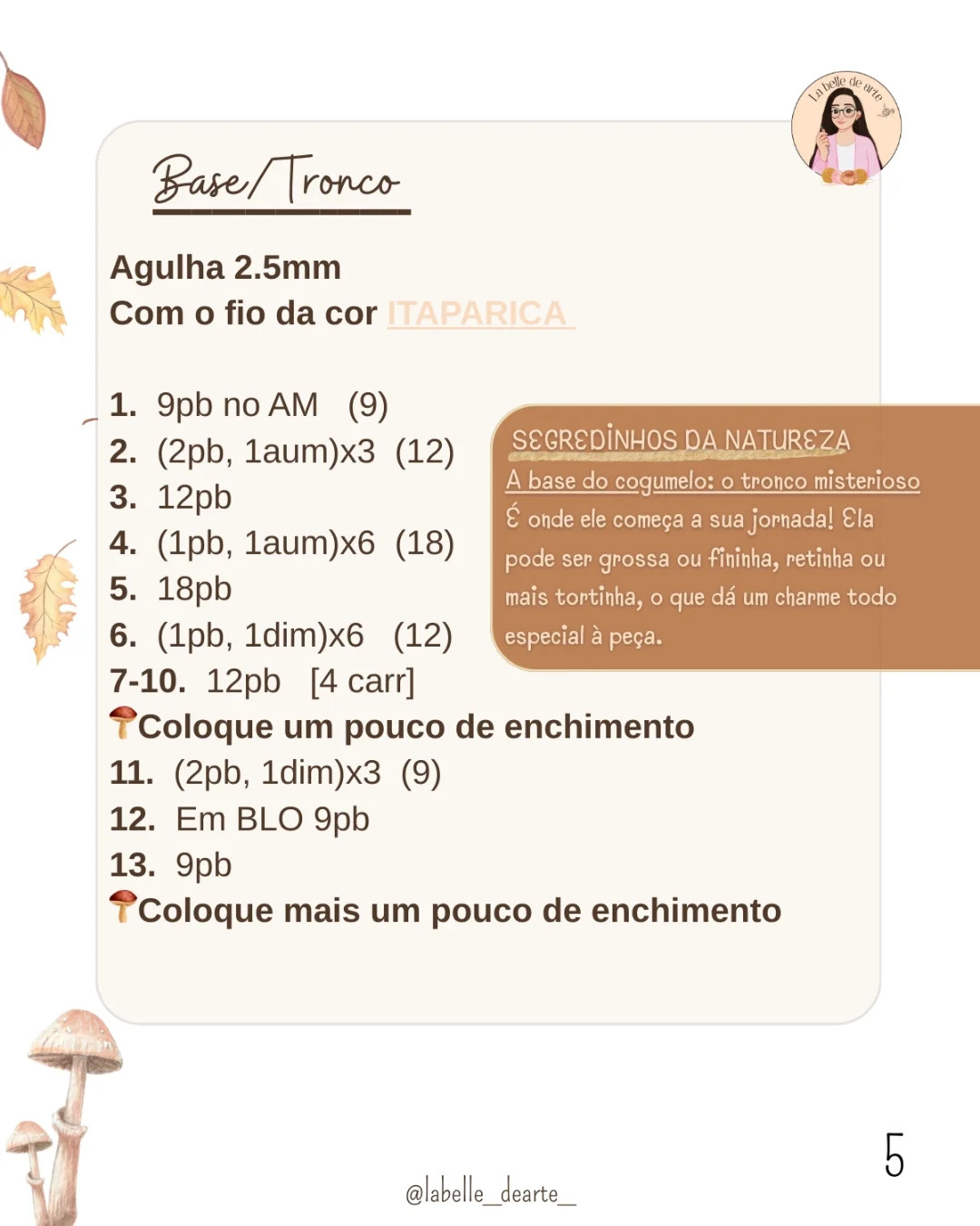 Gráfico de crochê: Cogumelos e Sapo Minúsculo