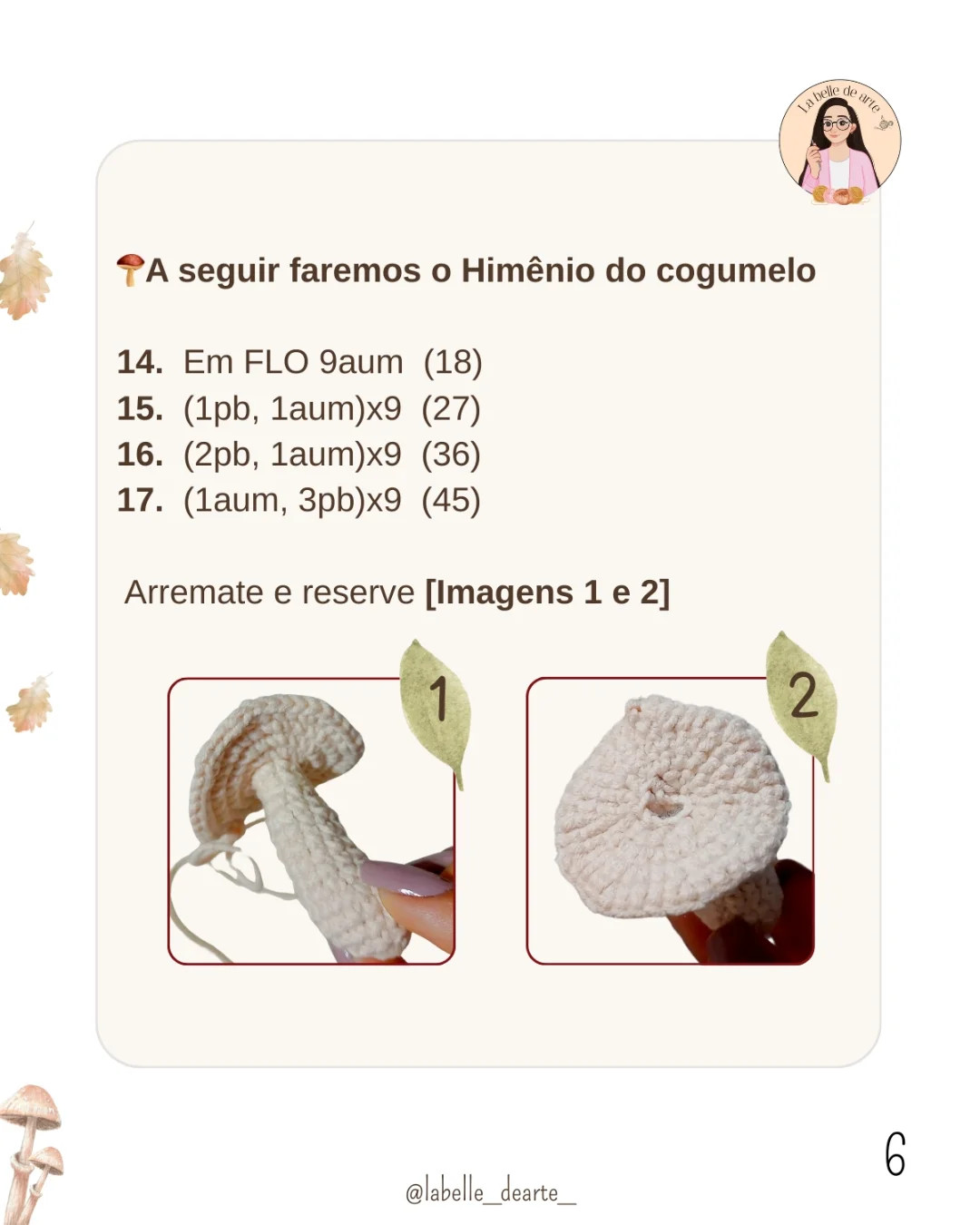 Gráfico de crochê: Cogumelos e Sapo Minúsculo