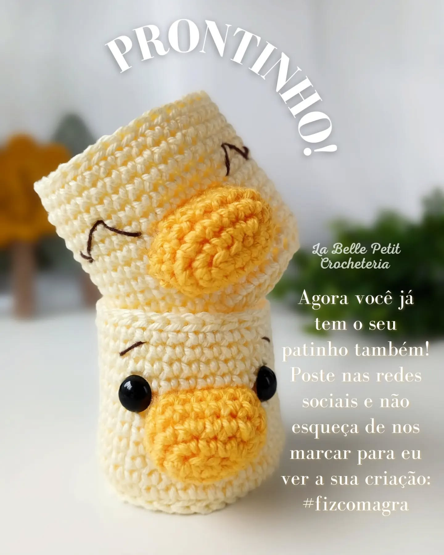 Gráfico de crochê de patinho porta-trecos fofo!