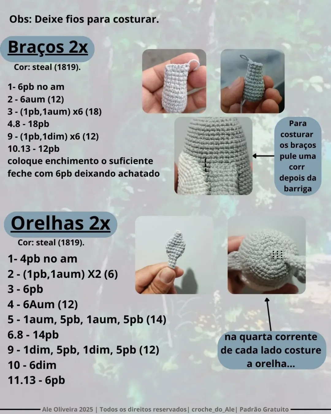 Gráfico de crochê grátis do meu amigo Totoro