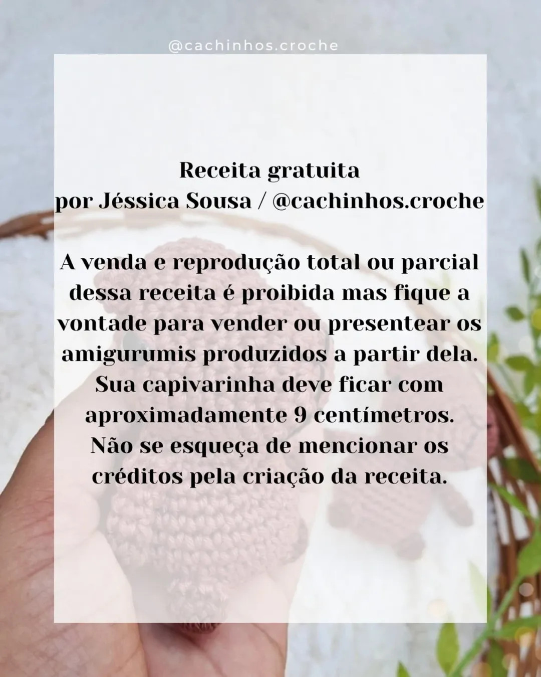 Gráfico de crochê gratuito: Capivara fofa!