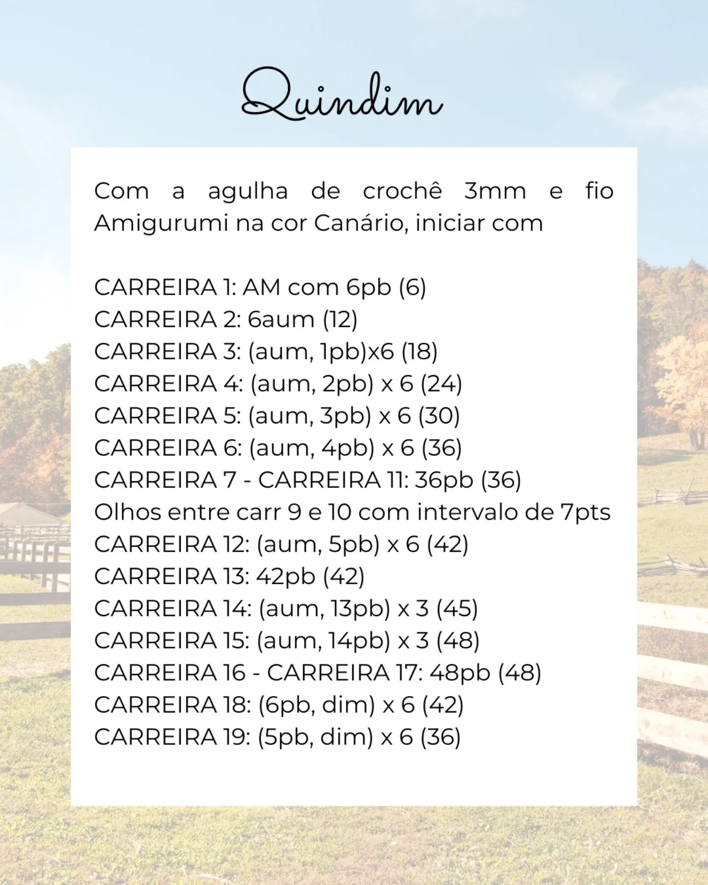 Gráfico de crochê gratuito: Pintinho Quindin