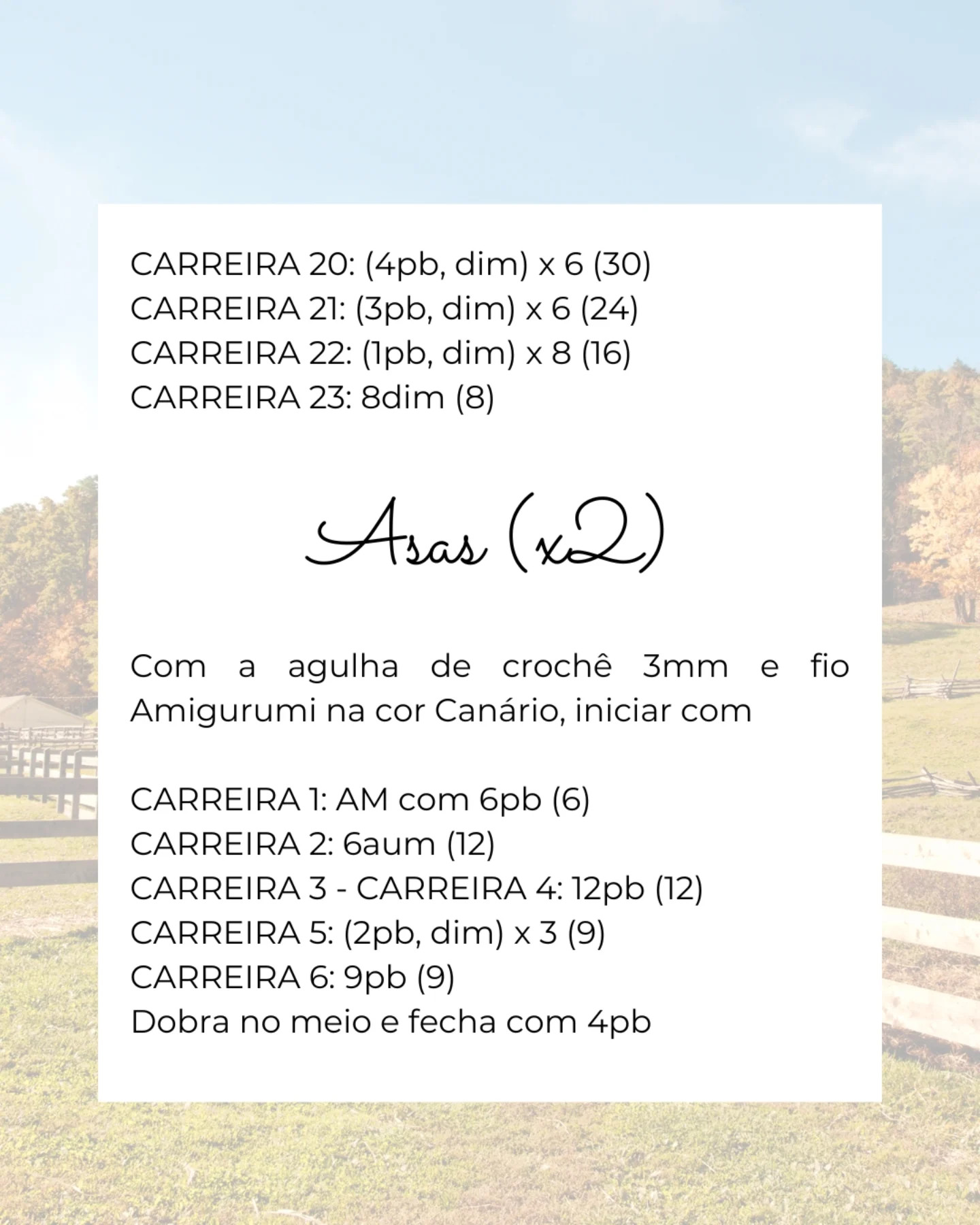 Gráfico de crochê gratuito: Pintinho Quindin