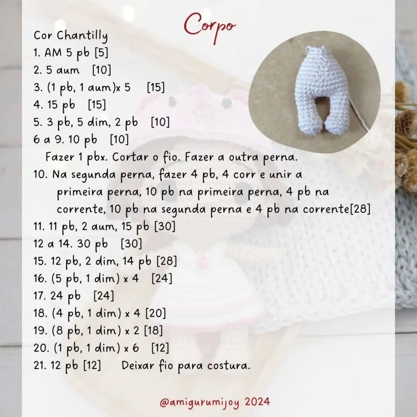 Grátis: Padrão Amigurumi de uma linda Menina