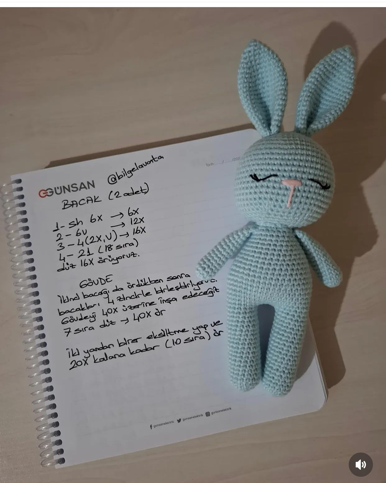 GÜNSAN Basit Tavşan Kafa Şeması