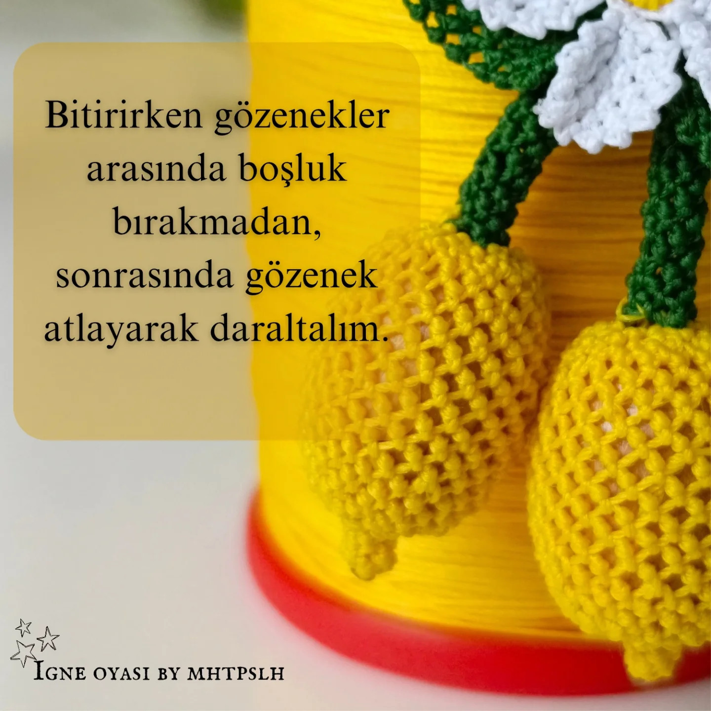 İğne Oyası Limon Şeması: Adım Adım Yapılışı