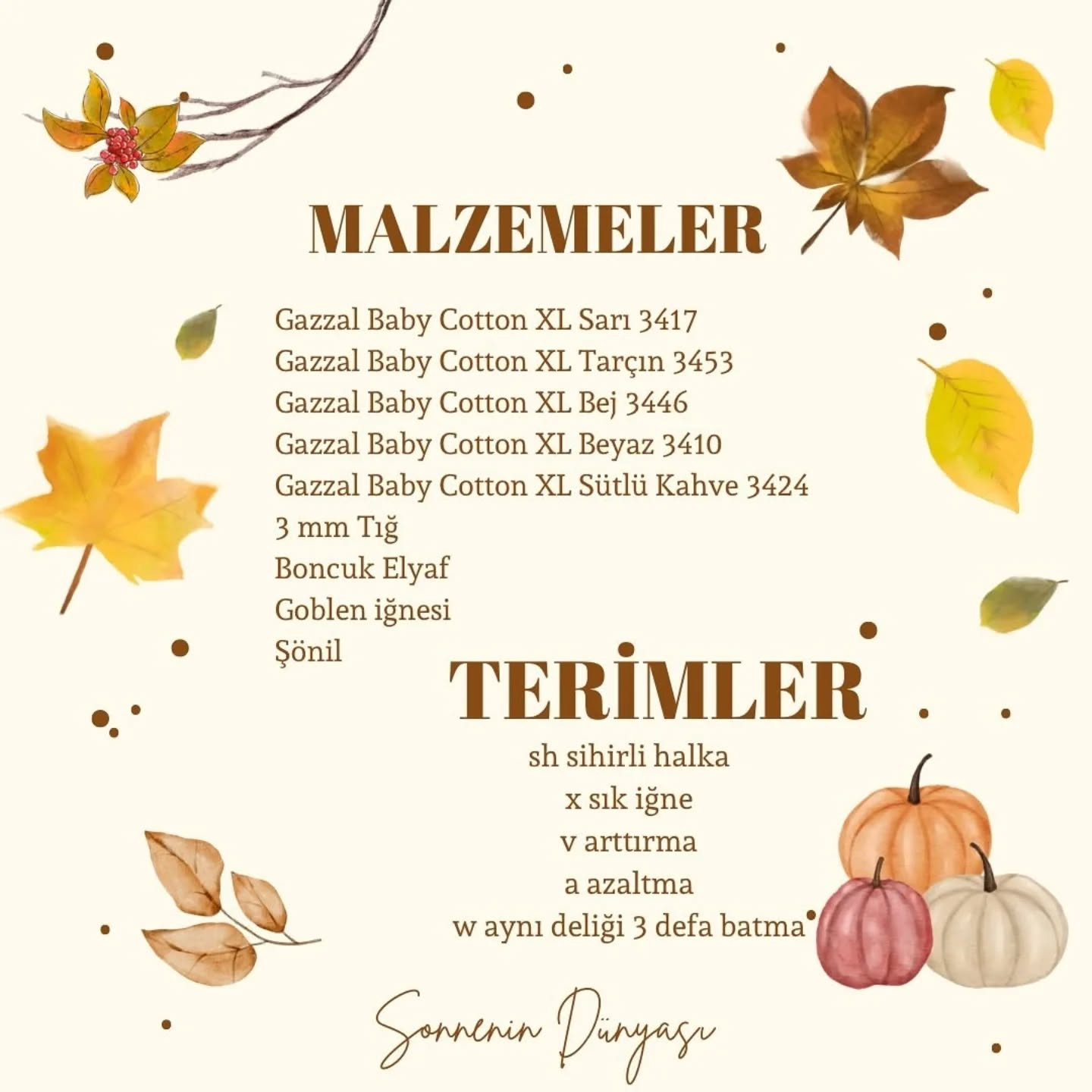 İşte ücretsiz kabak örme şeması!