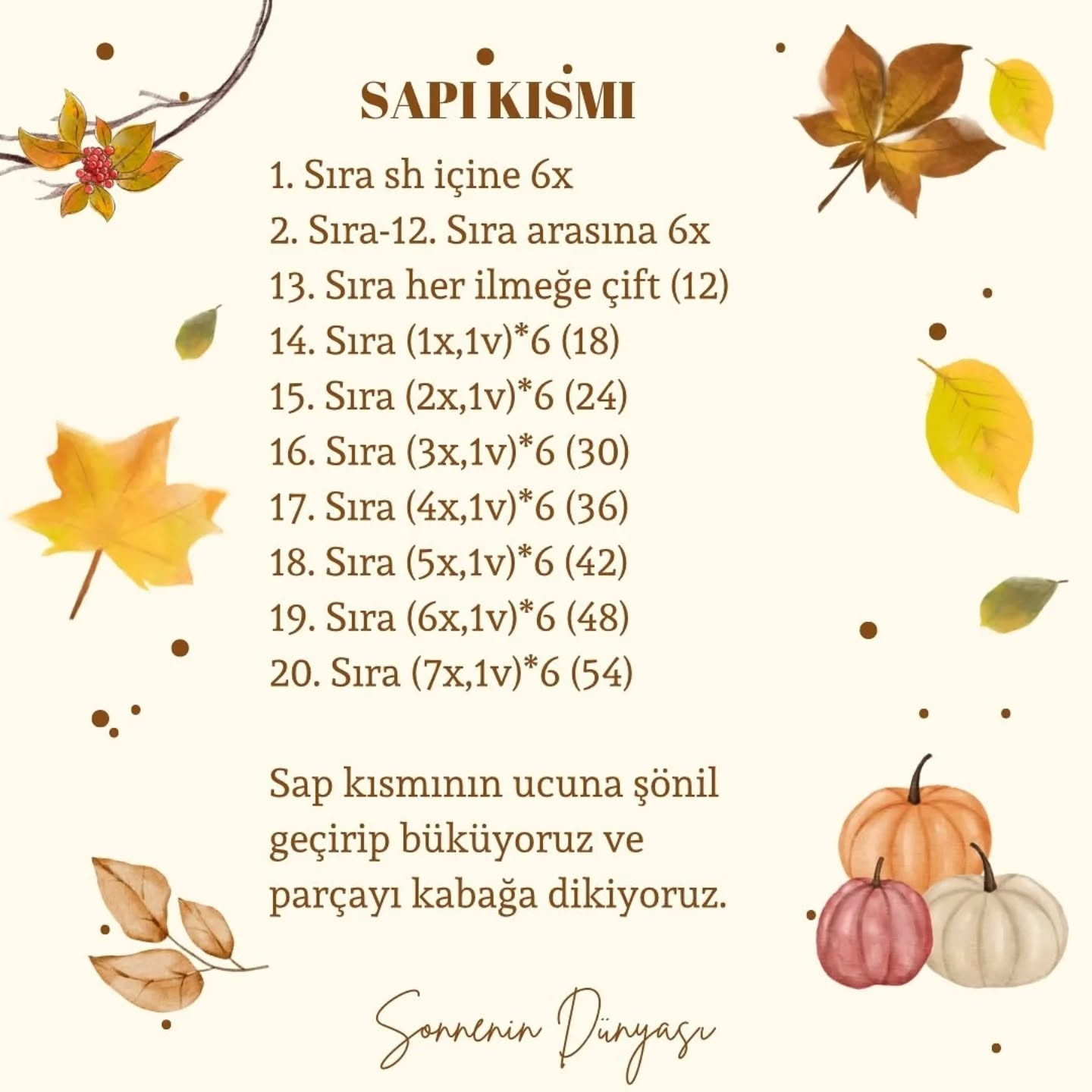İşte ücretsiz kabak örme şeması!