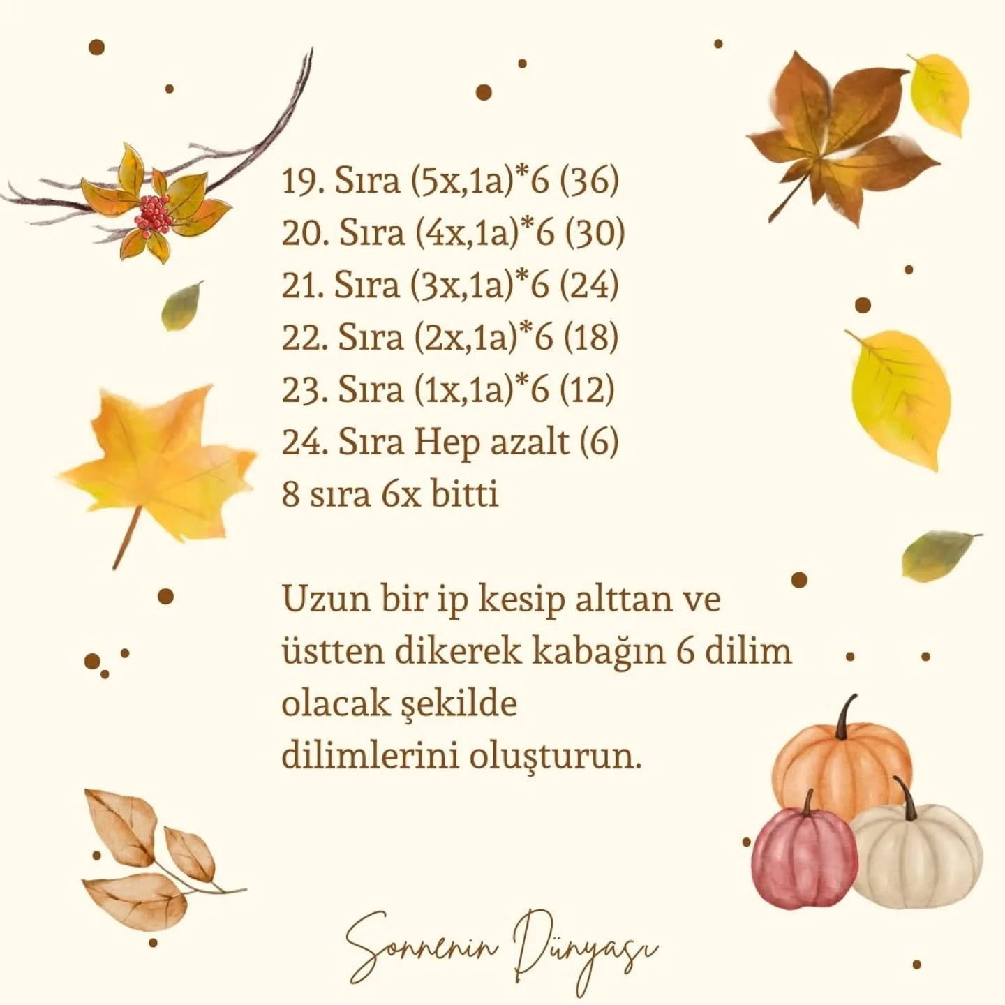 İşte ücretsiz kabak örme şeması!