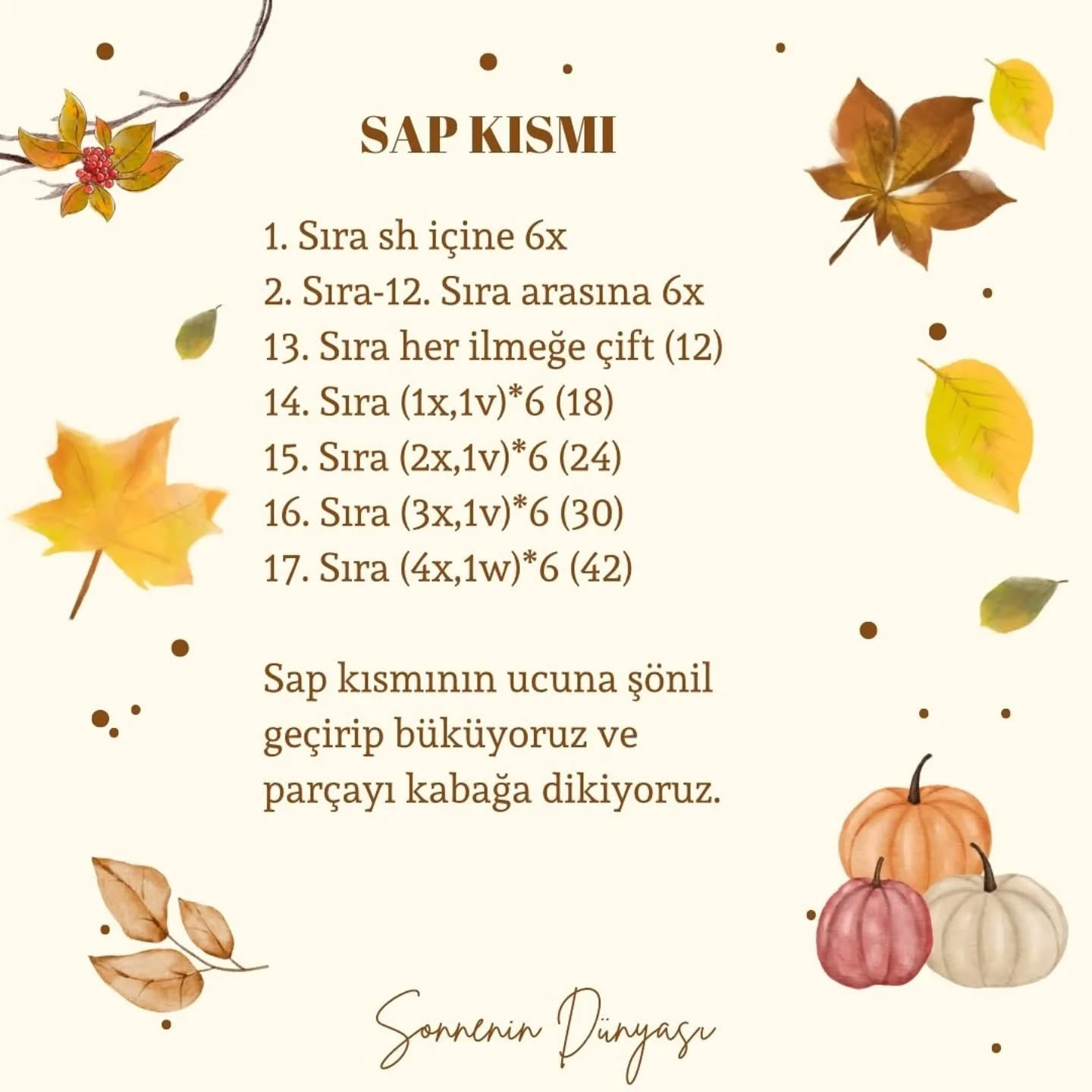 İşte ücretsiz kabak örme şeması!
