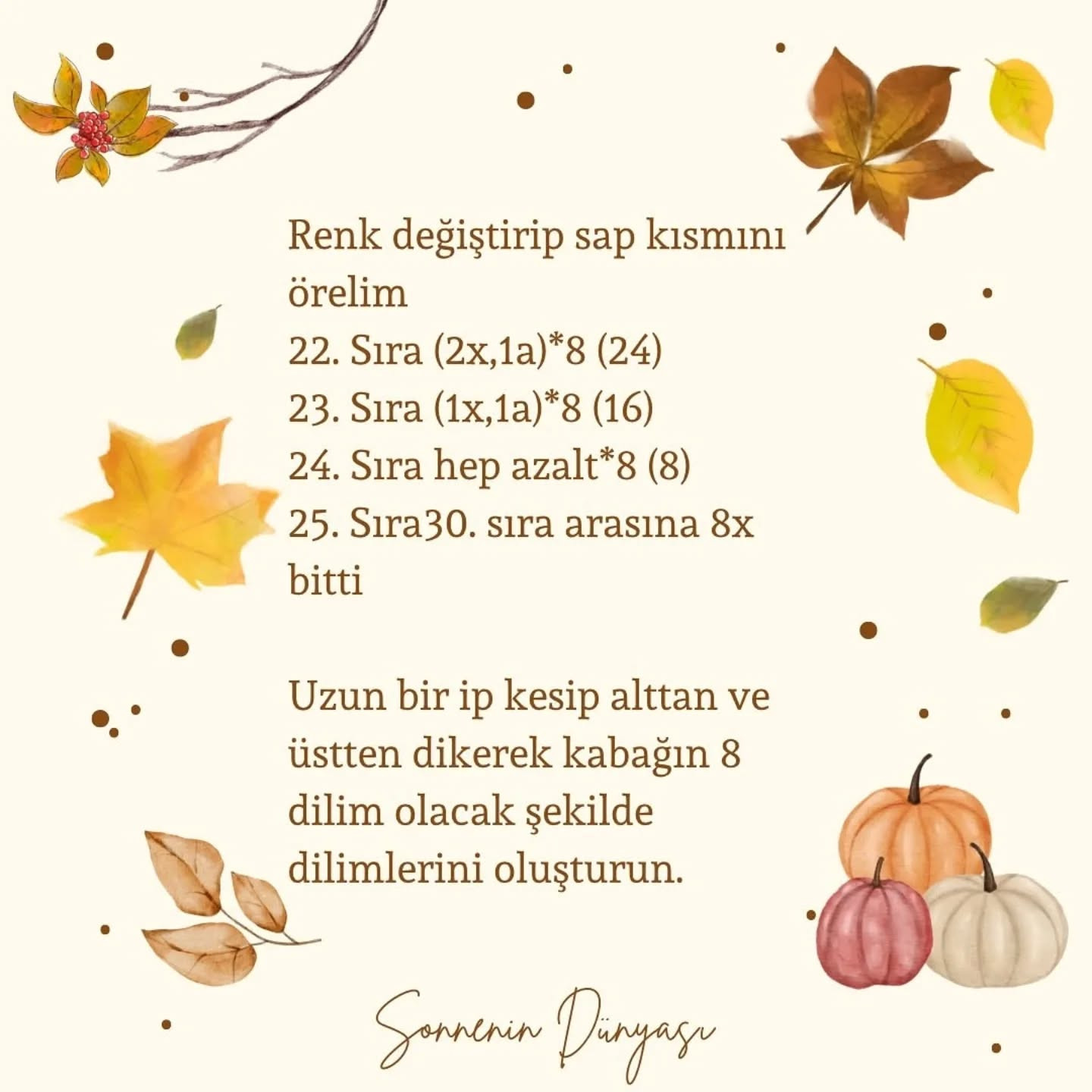 İşte ücretsiz kabak örme şeması!