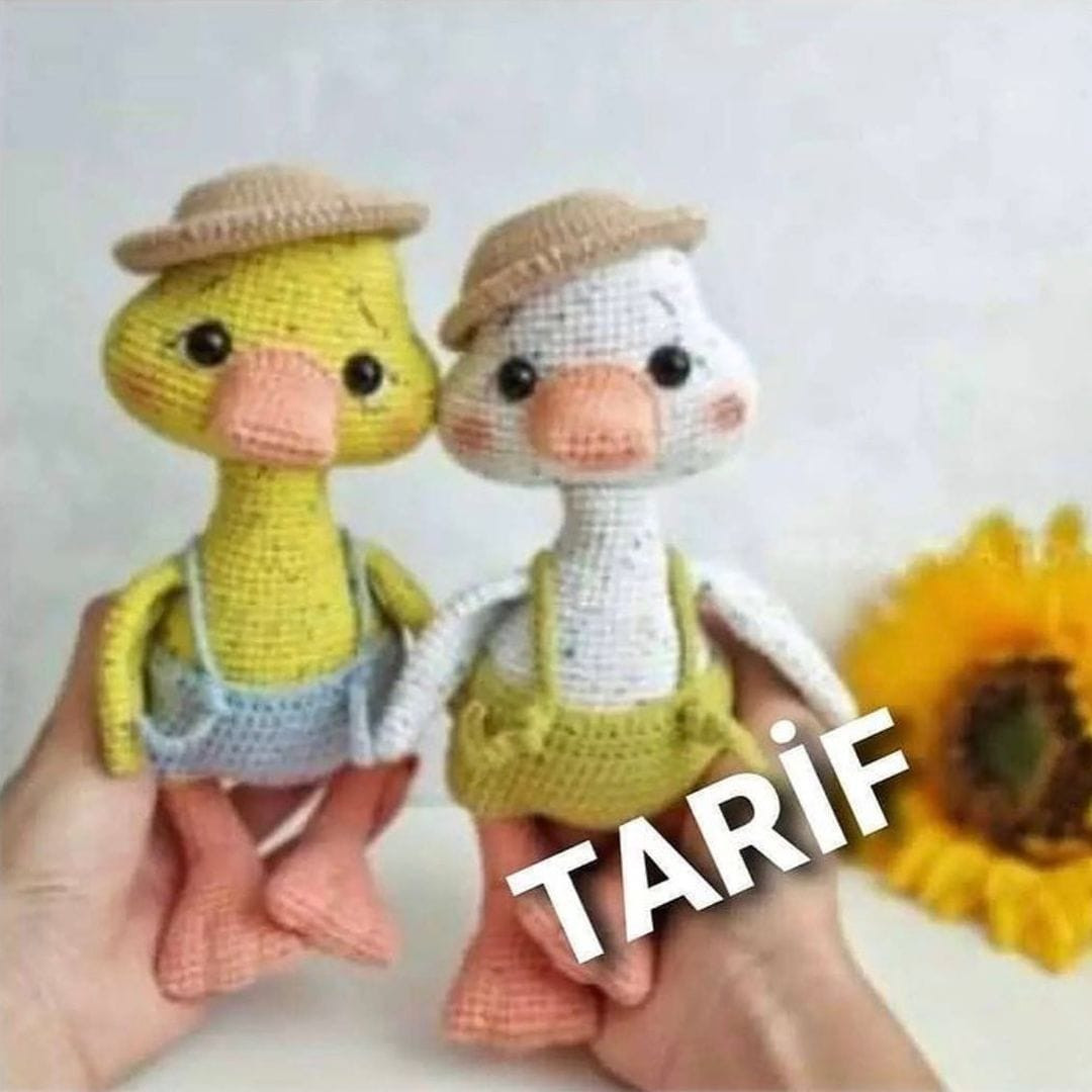 Örme Ördek Şeması