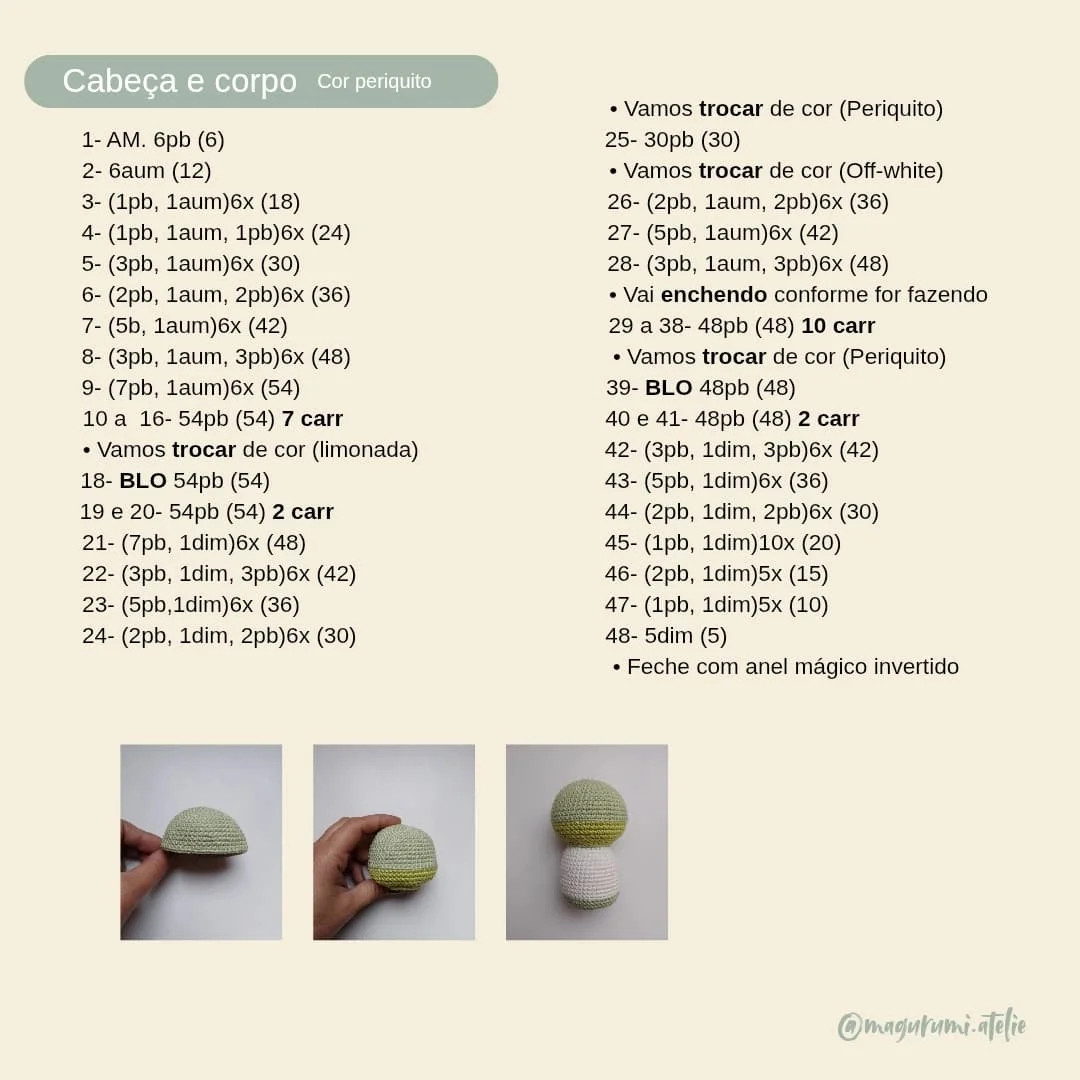 Receita gratuita de amigurumi: Sapo Olavo 2.0