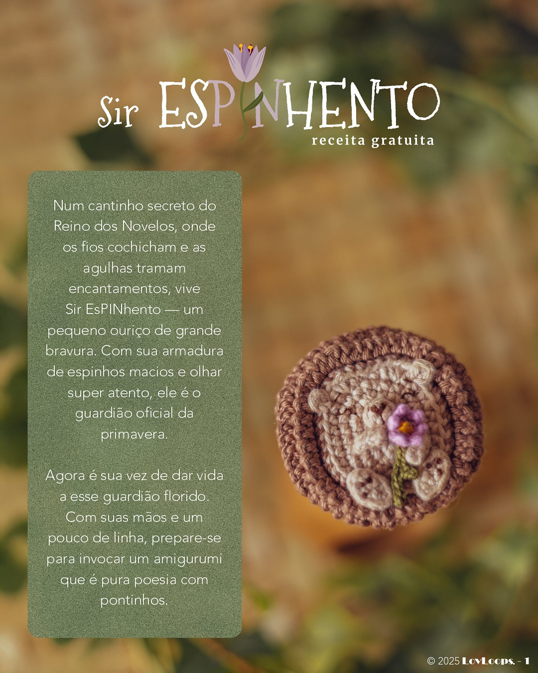 Sir Espinho: Gráfico de crochê grátis de ouriço