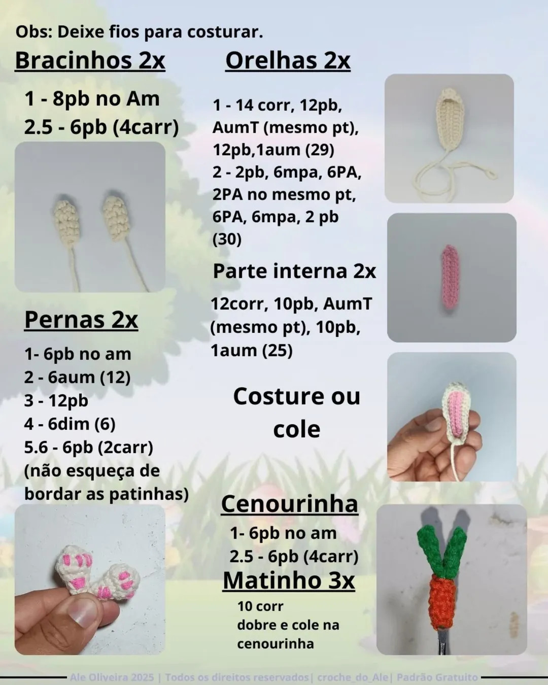 Tico e Nico: Coelho Reversível - Gráfico Grátis