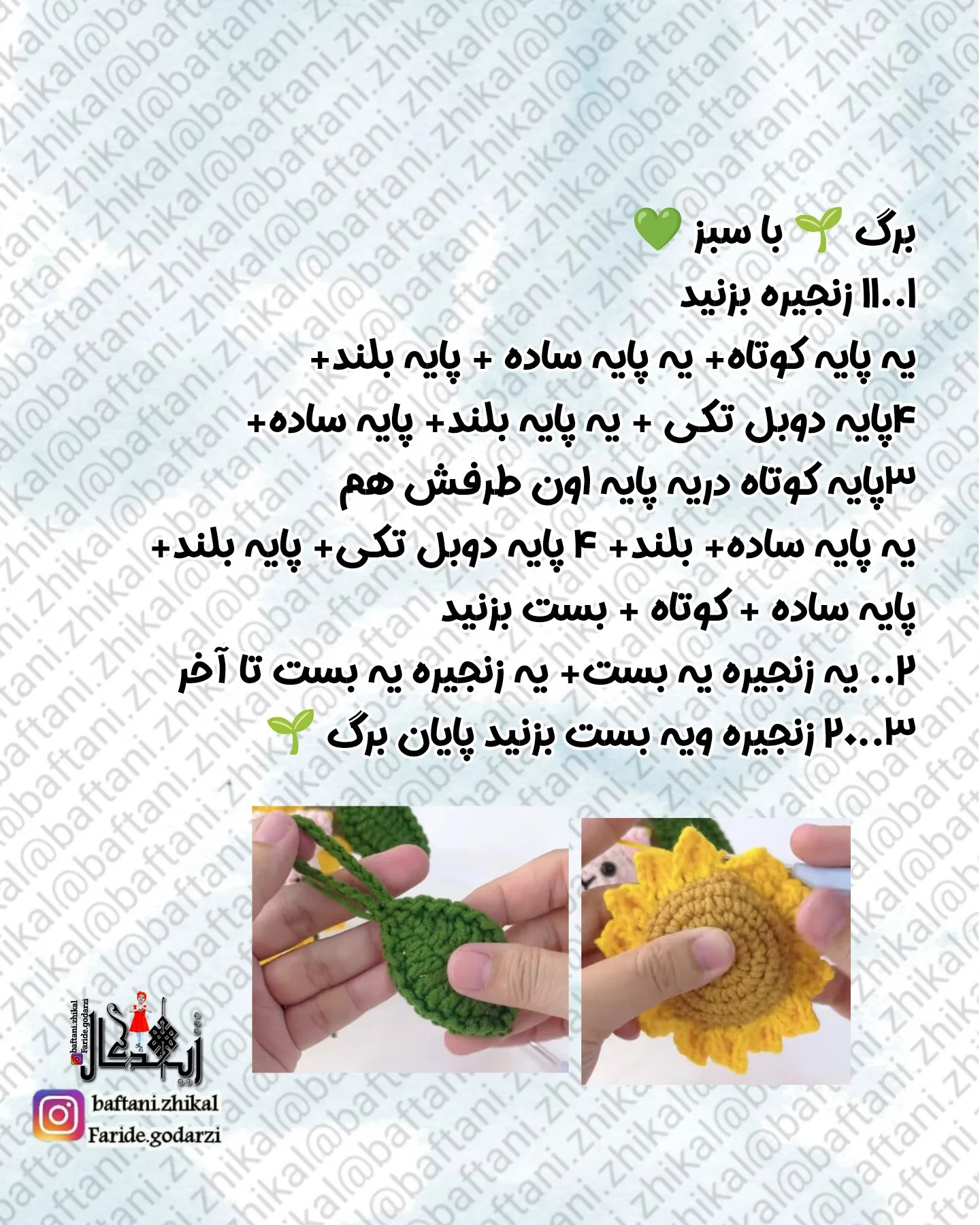 طرح گربه آفتابگردان
