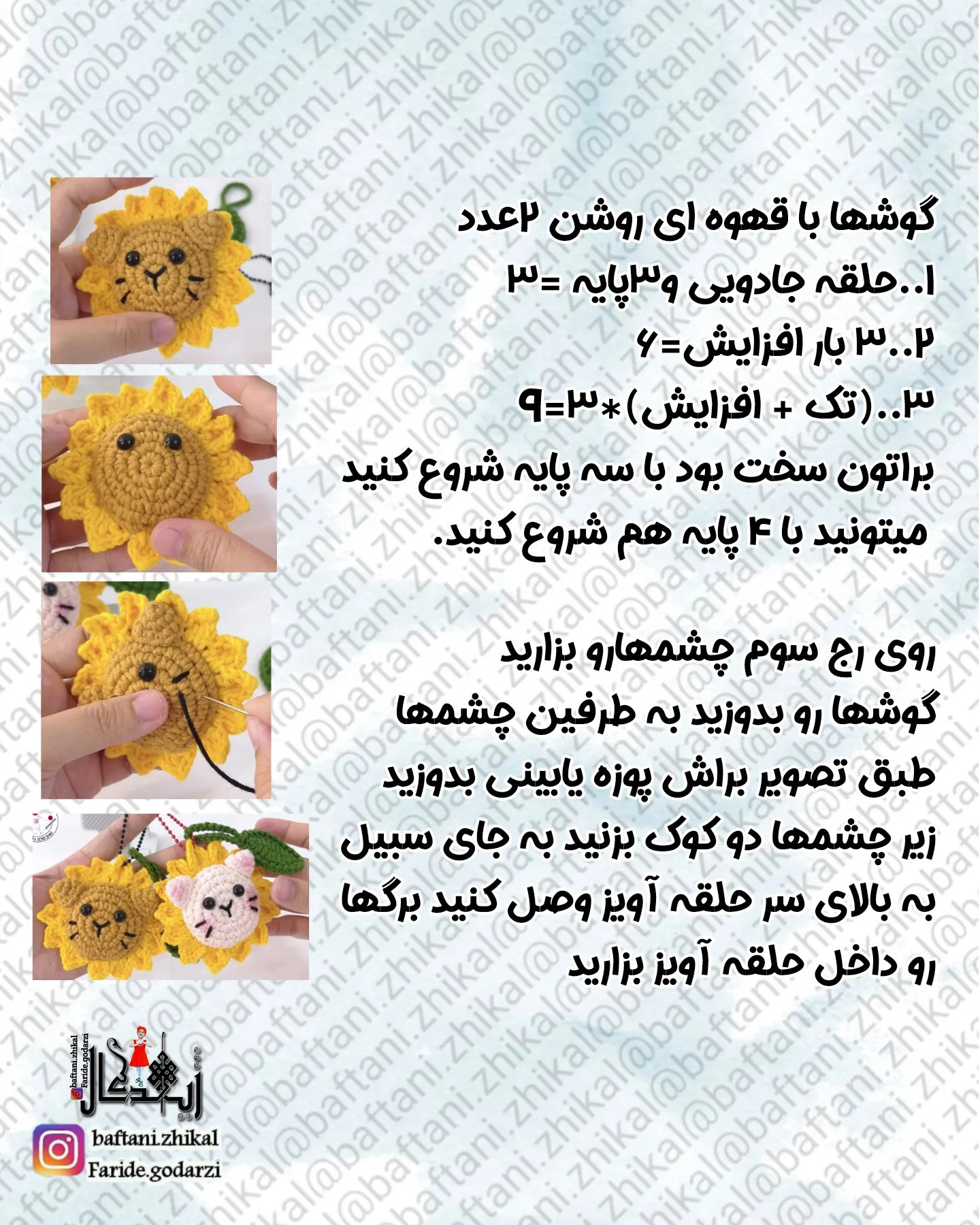 طرح گربه آفتابگردان