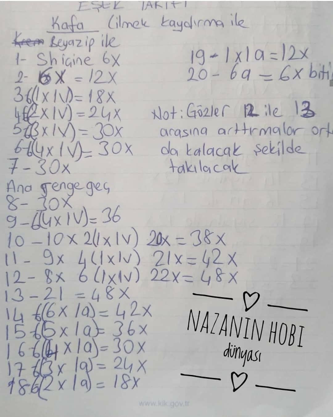 Ücretsiz Eşek Hoki Örgü Şeması