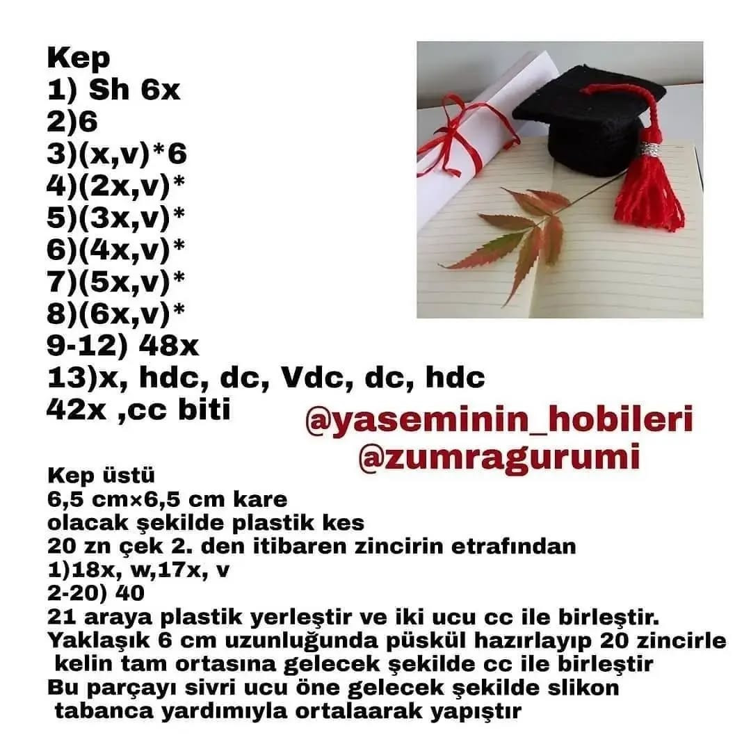 Ücretsiz Tığ İşi Örnekleri: Mezuniyet Böceği