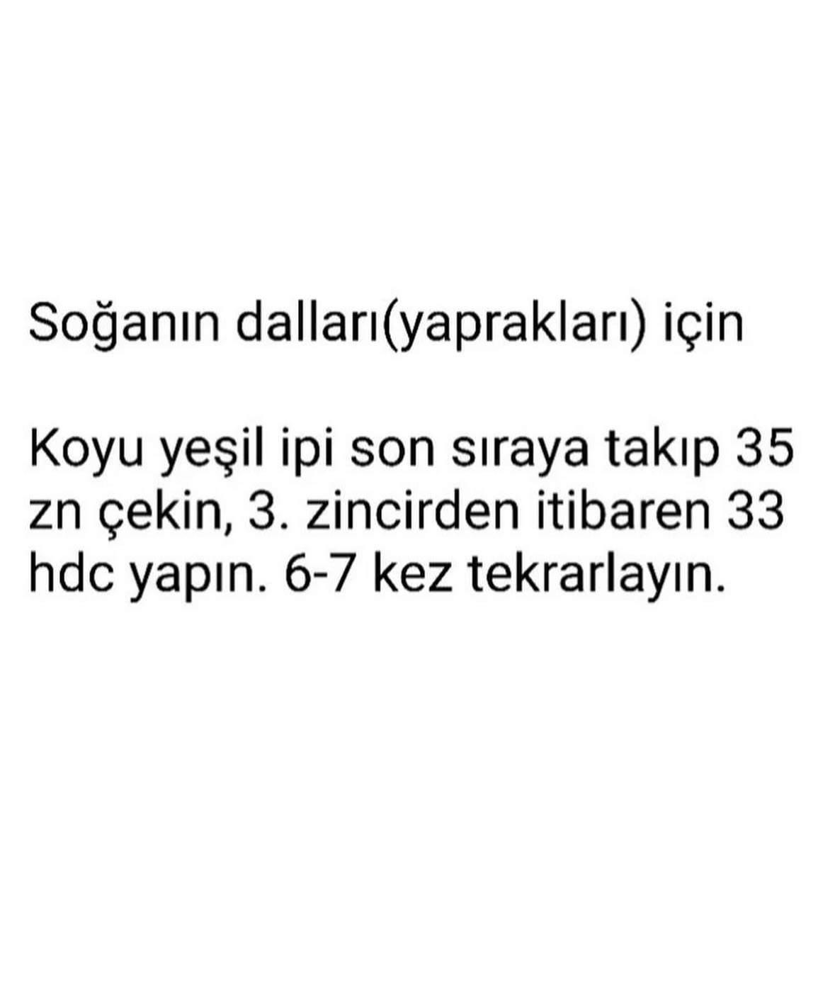 Ücretsiz Yeşil Soğan Tığ İşi Tarifi