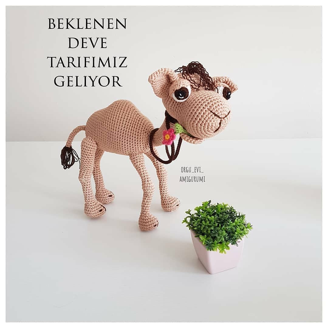 BEKLEYEN DEVEMİZİN AMIGURUMİ TARİFİ