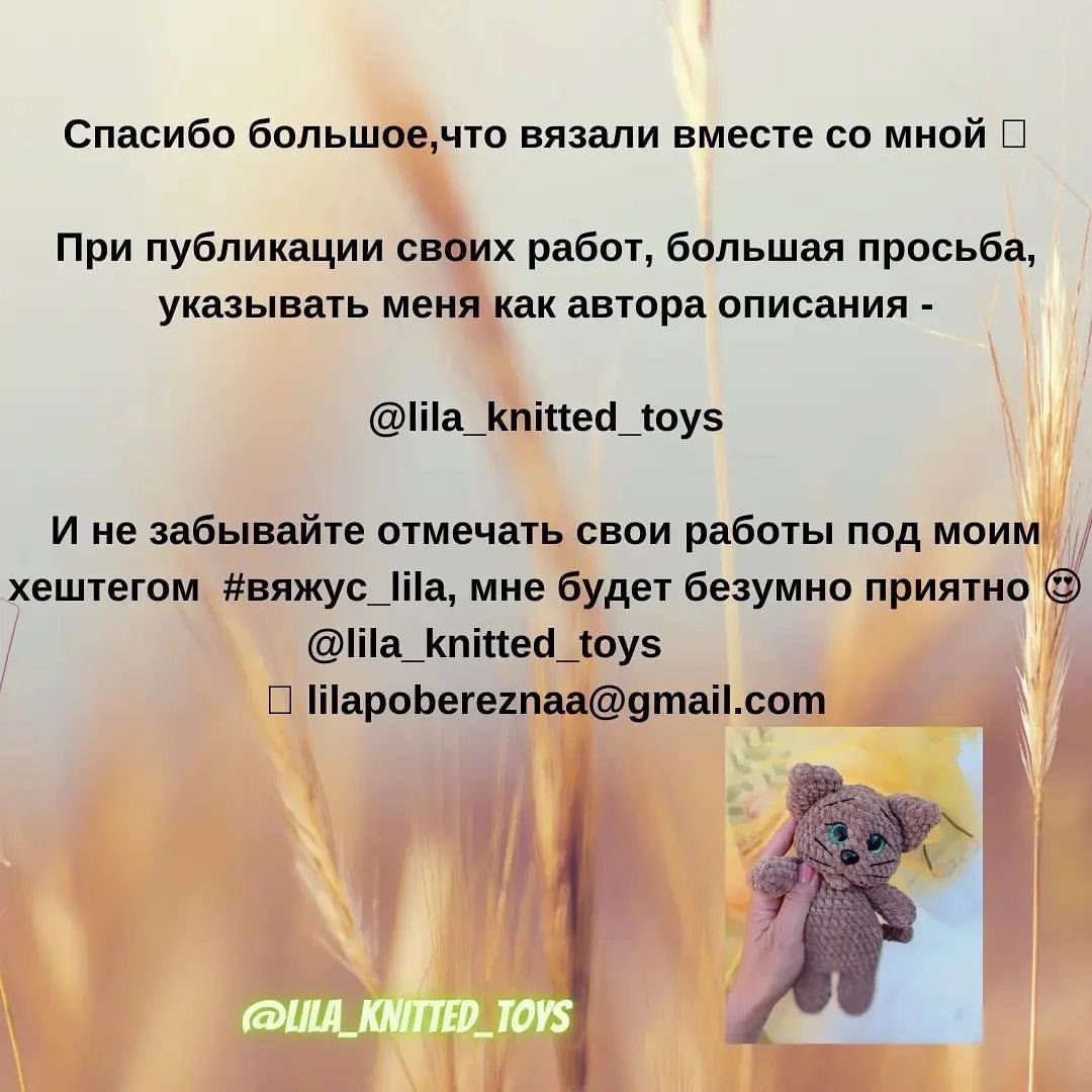 Бесплатное описание схемы вязания кота в очках.