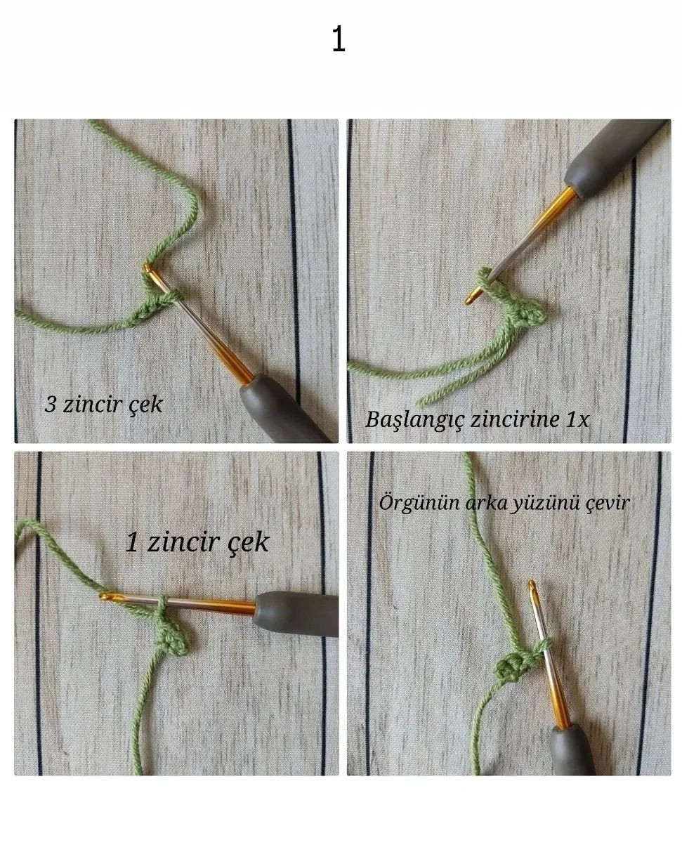 BIDIK ZÜRAFA ÇINÇIRAK YAKA TARİFİ