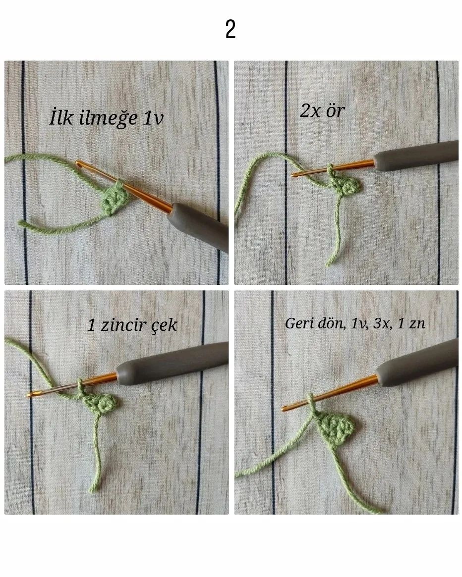 BIDIK ZÜRAFA ÇINÇIRAK YAKA TARİFİ