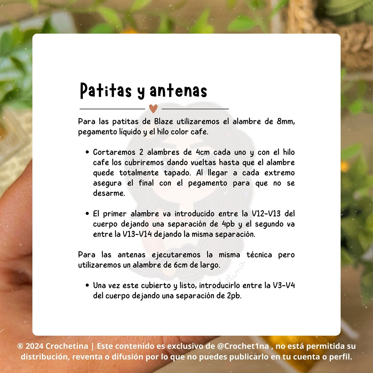 Blane: Patrón de Crochet Gratis para Insecto Amigurumi
