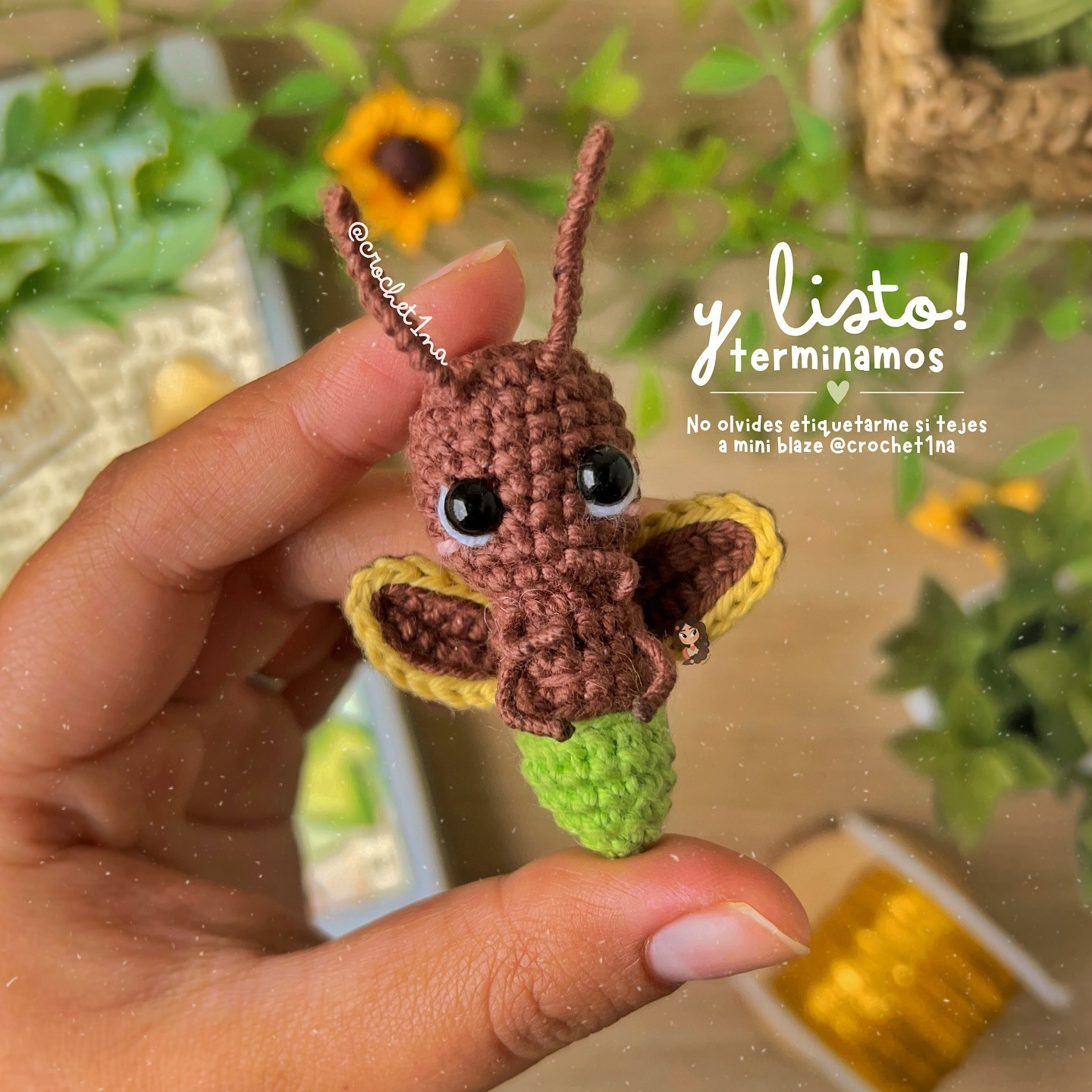 Blane: Patrón de Crochet Gratis para Insecto Amigurumi