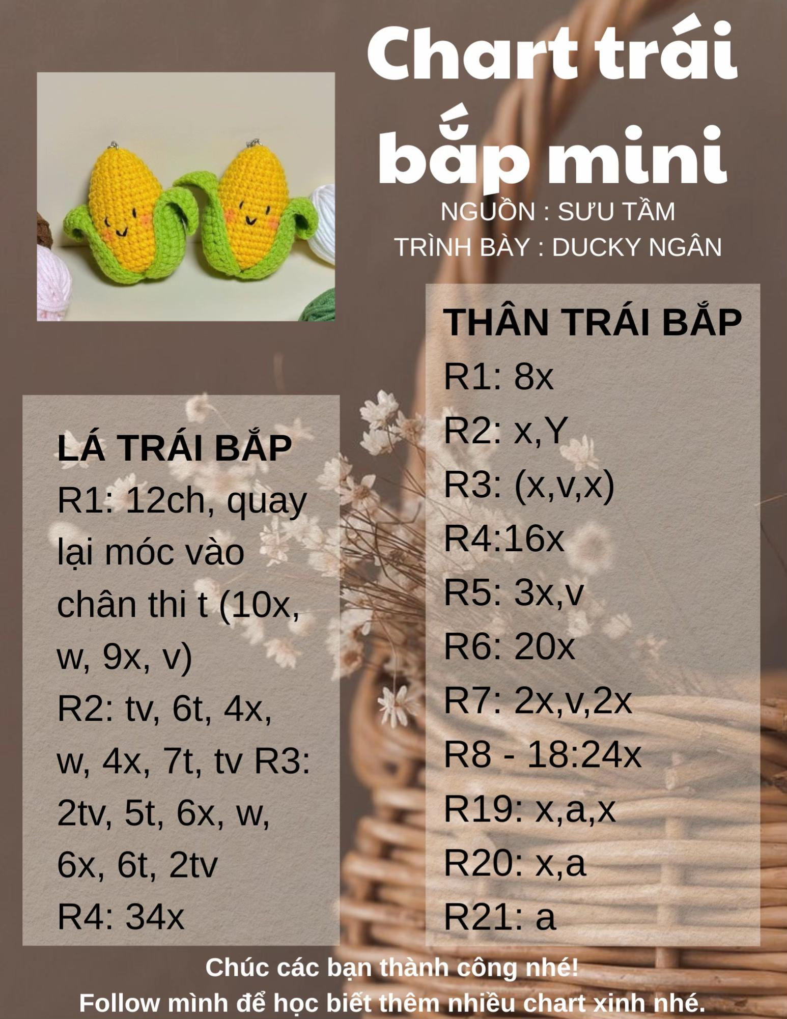 Chart bé bắp mini