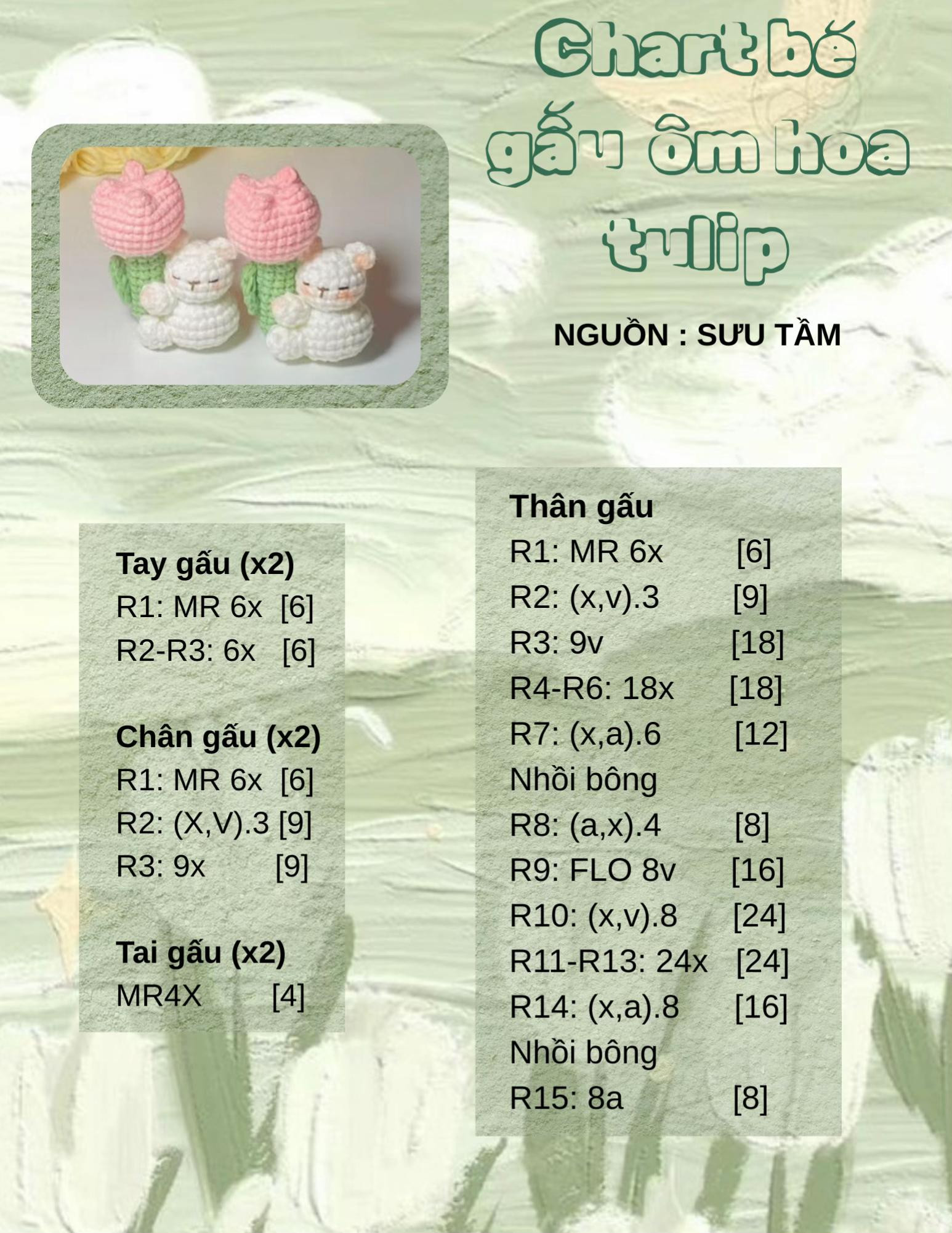 Chart bé gấu ôm cây hoa tulip